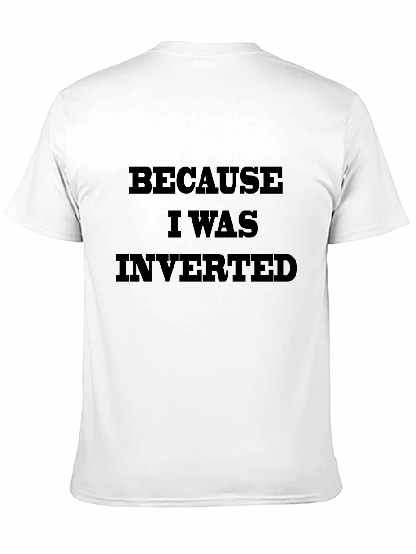 Because I Was Inverted Graphic T-Shirt