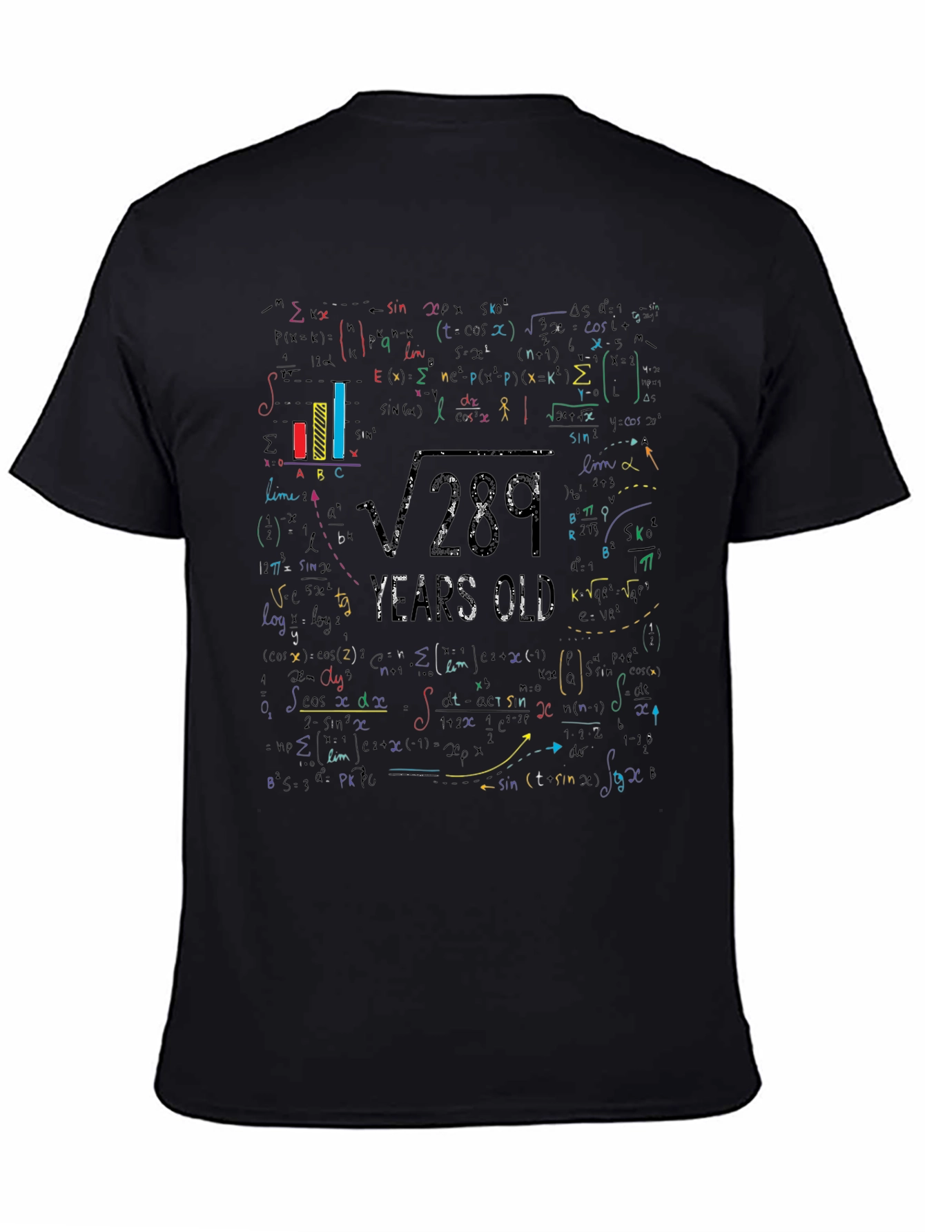 Math Equation 17th Birthday Graphic T-Shirt