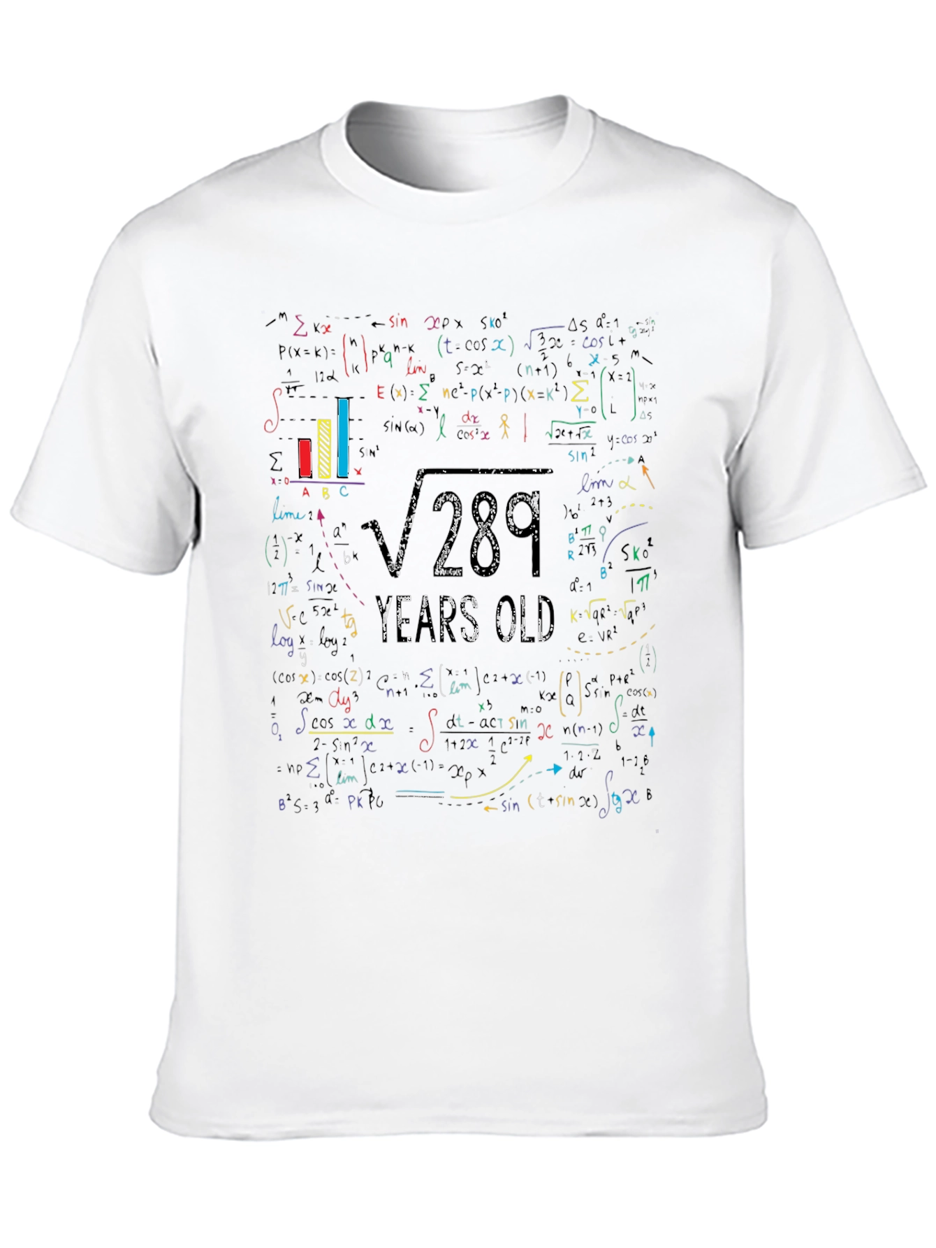 Math Equation 17th Birthday Graphic T-Shirt