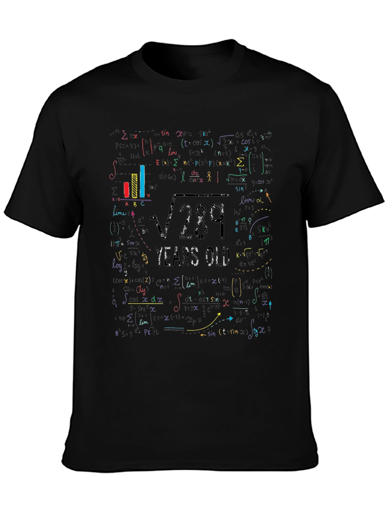 Math Equation 17th Birthday Graphic T-Shirt