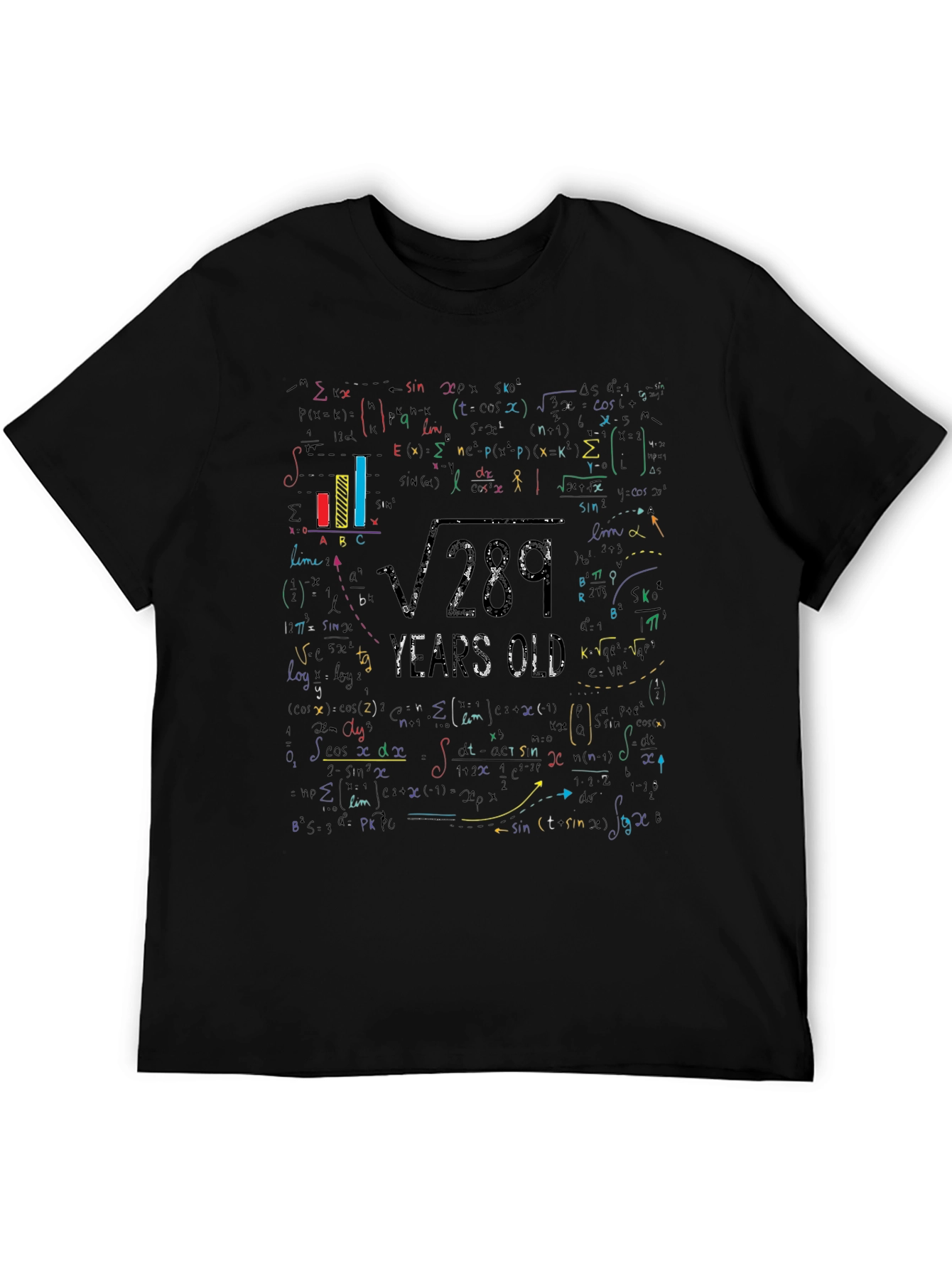 Math Equation 17th Birthday Graphic T-Shirt