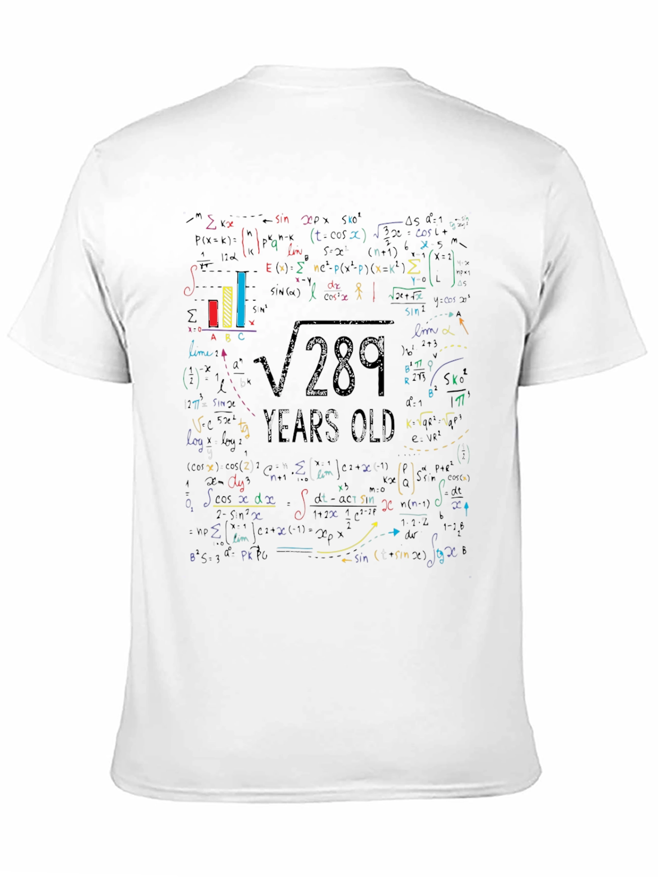 Math Equation 17th Birthday Graphic T-Shirt