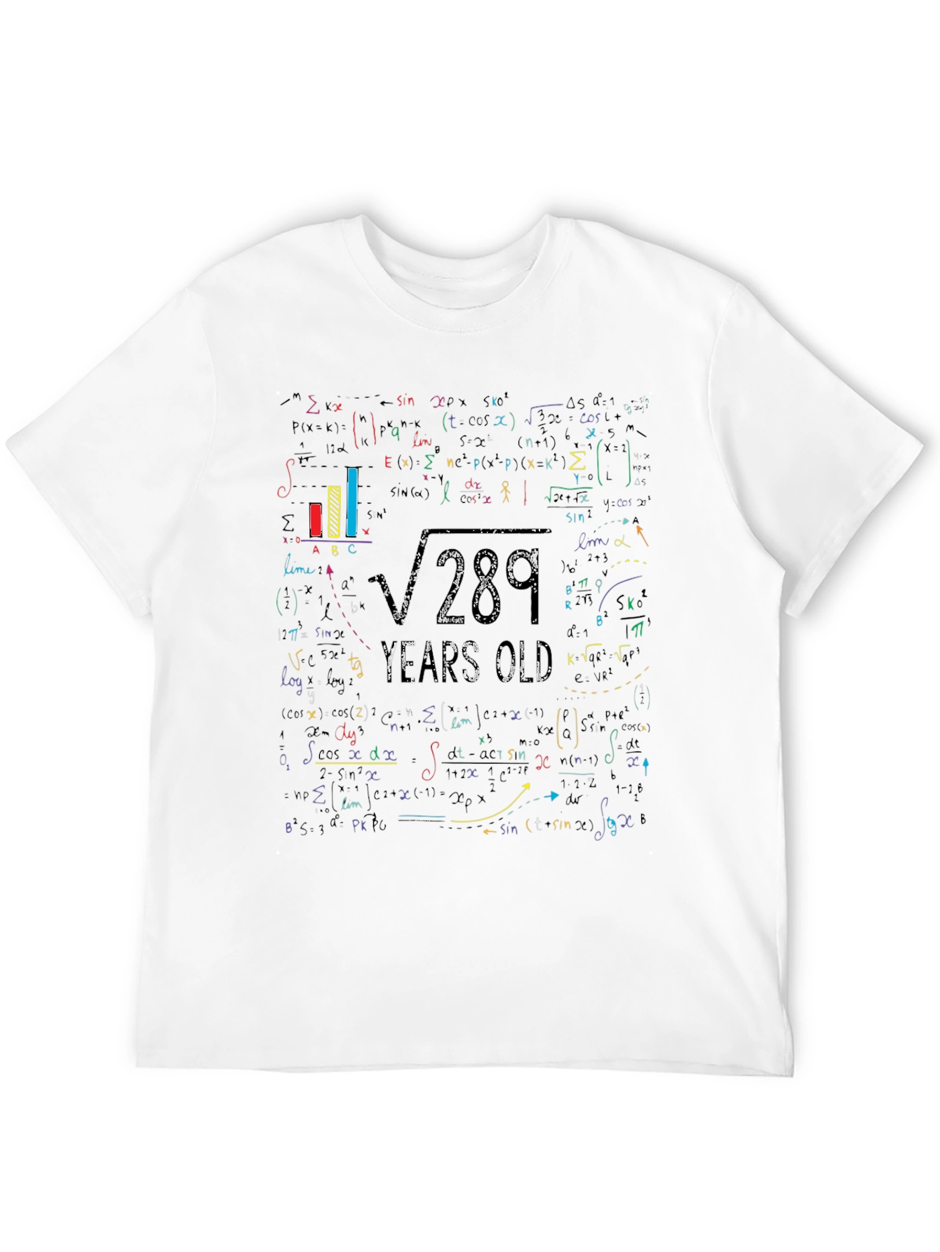 Math Equation 17th Birthday Graphic T-Shirt