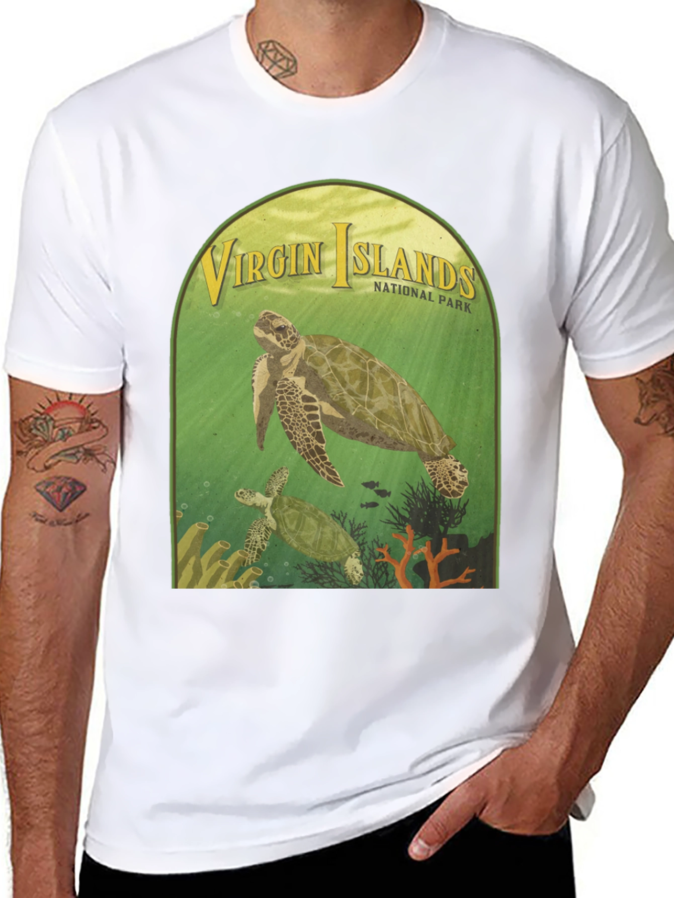 Virgin Islands National Park Turtle T-Shirt