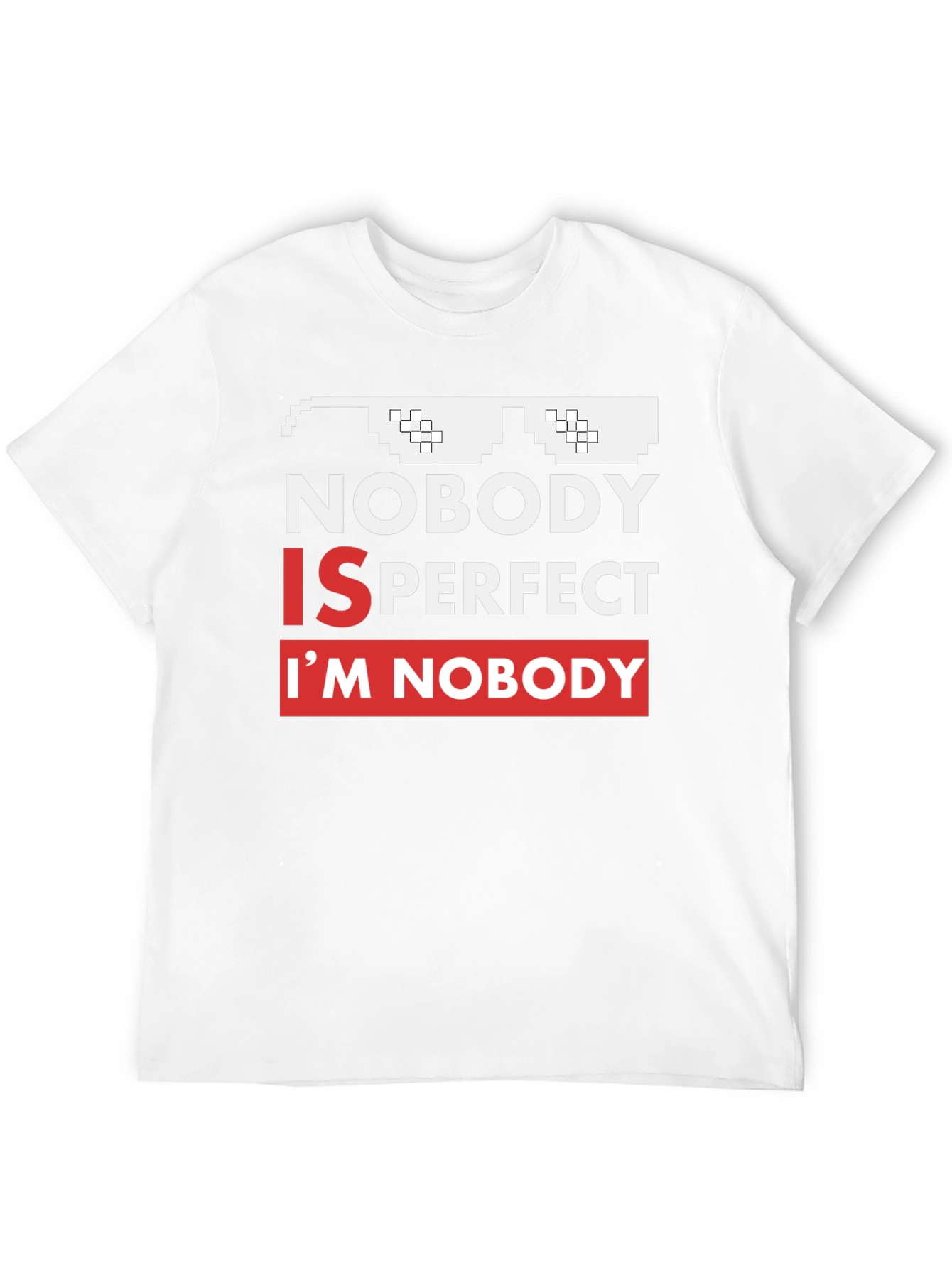 Nobody Is Perfect Funny Graphic Tee