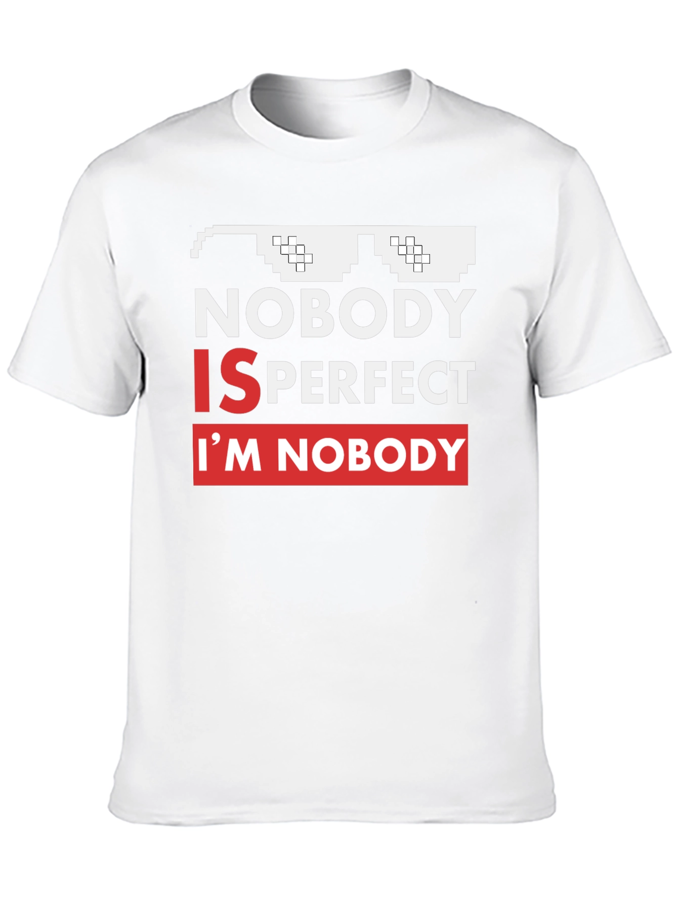 Nobody Is Perfect Funny Graphic Tee