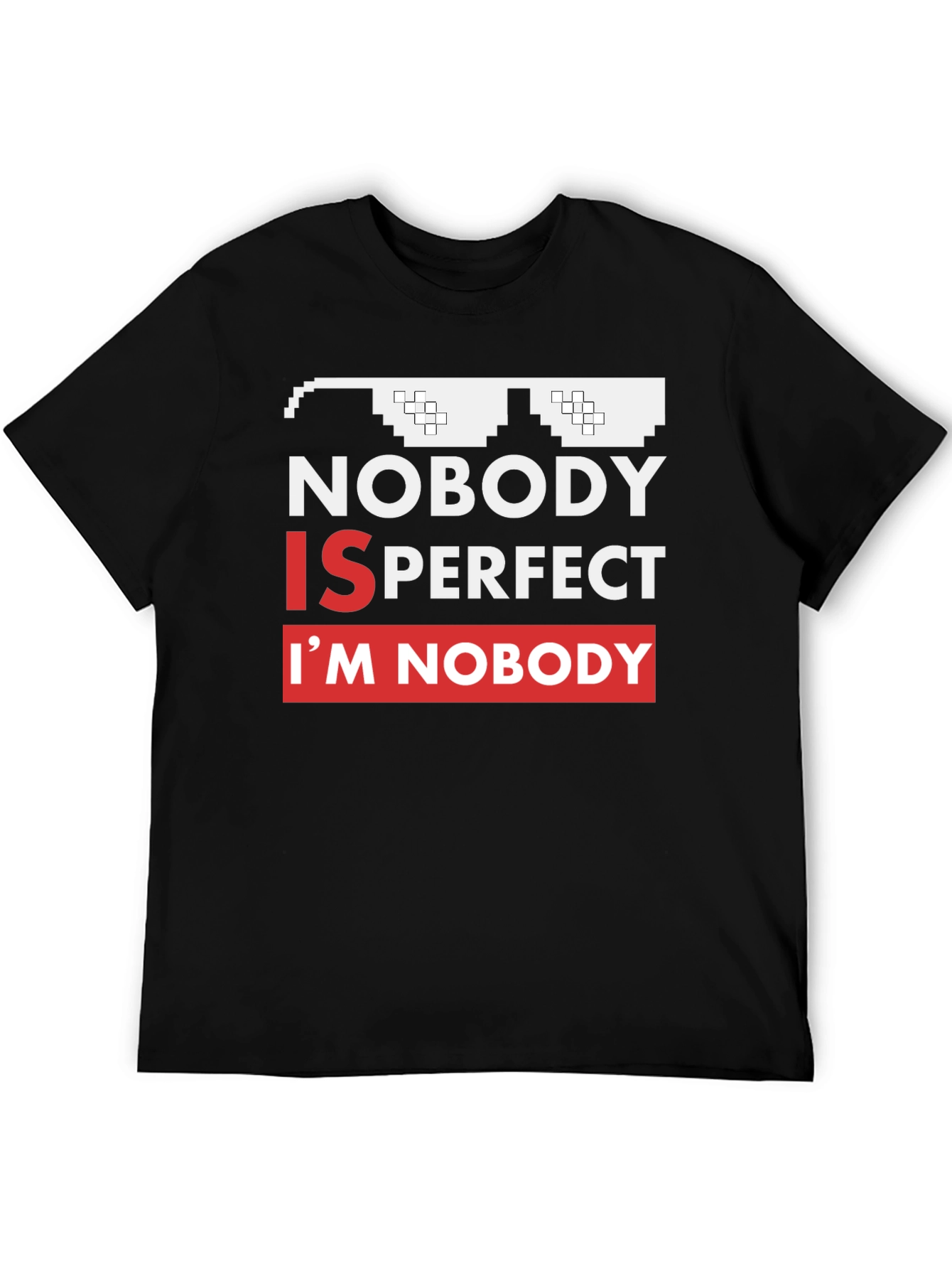 Nobody Is Perfect Funny Graphic Tee