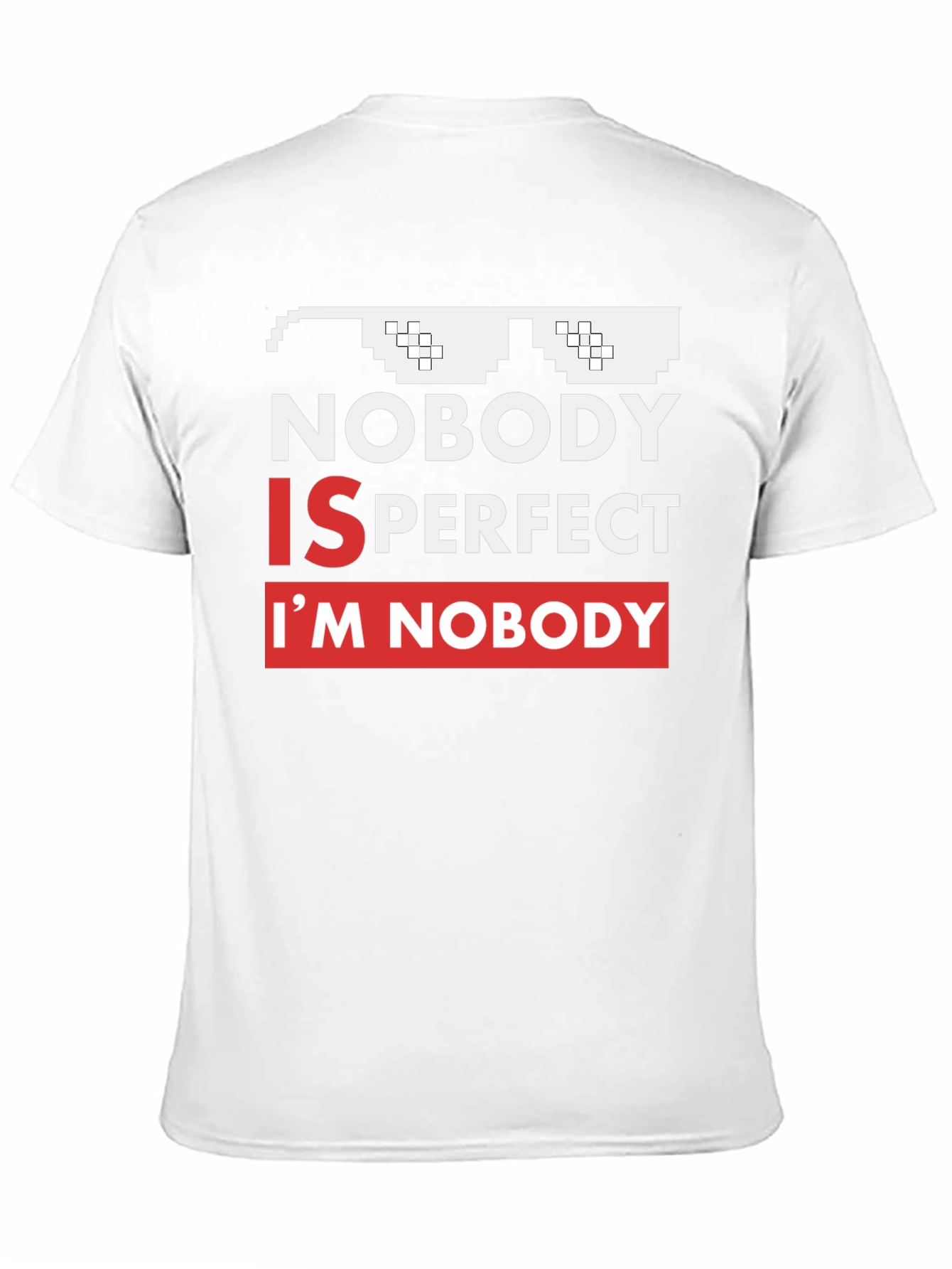 Nobody Is Perfect Funny Graphic Tee