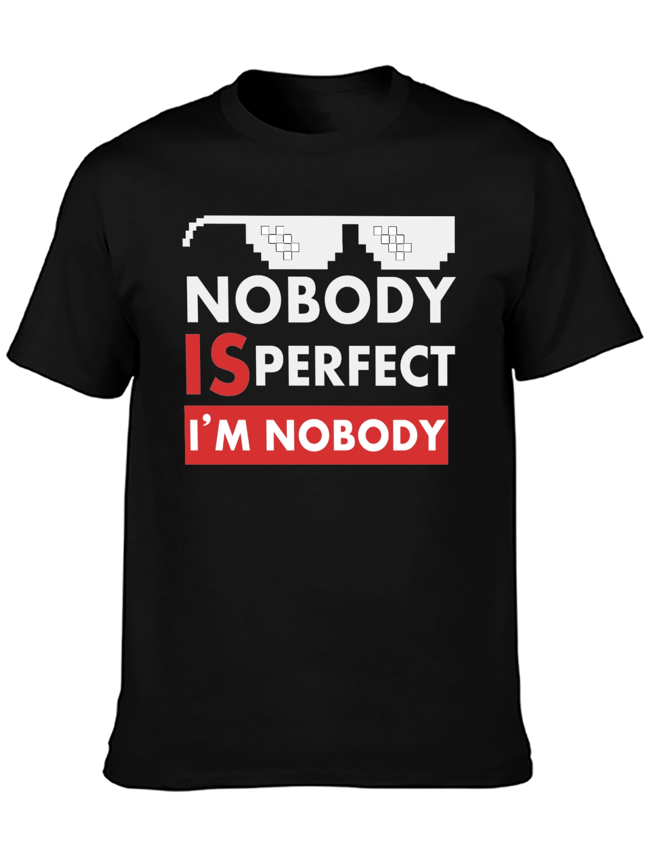 Nobody Is Perfect Funny Graphic Tee