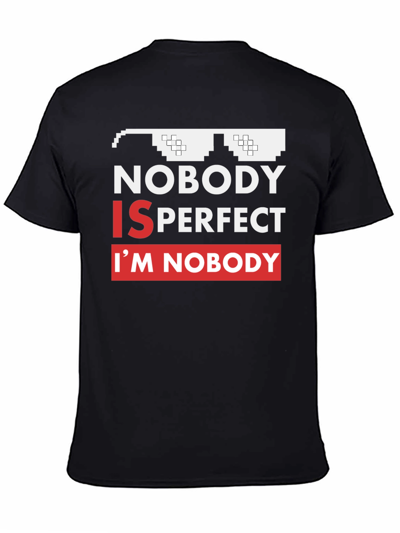 Nobody Is Perfect Funny Graphic Tee