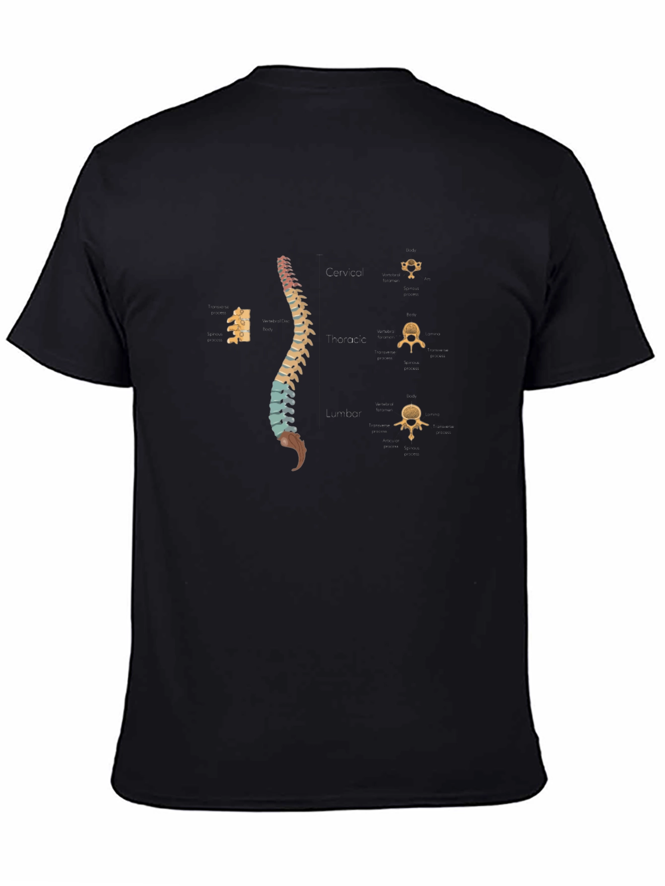 Spine Anatomy Print Black T-Shirt