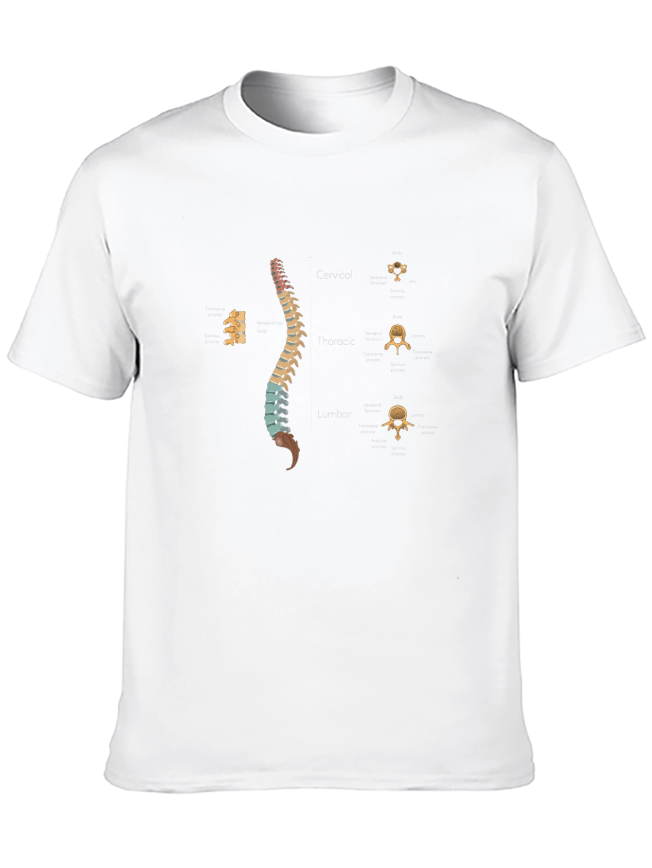 Spine Anatomy Print Black T-Shirt