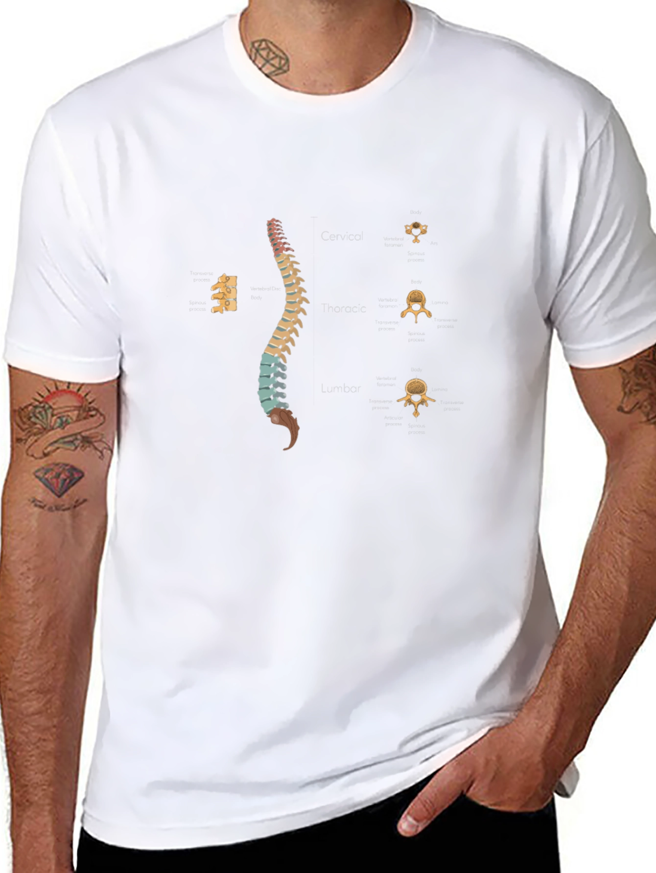 Spine Anatomy Print Black T-Shirt