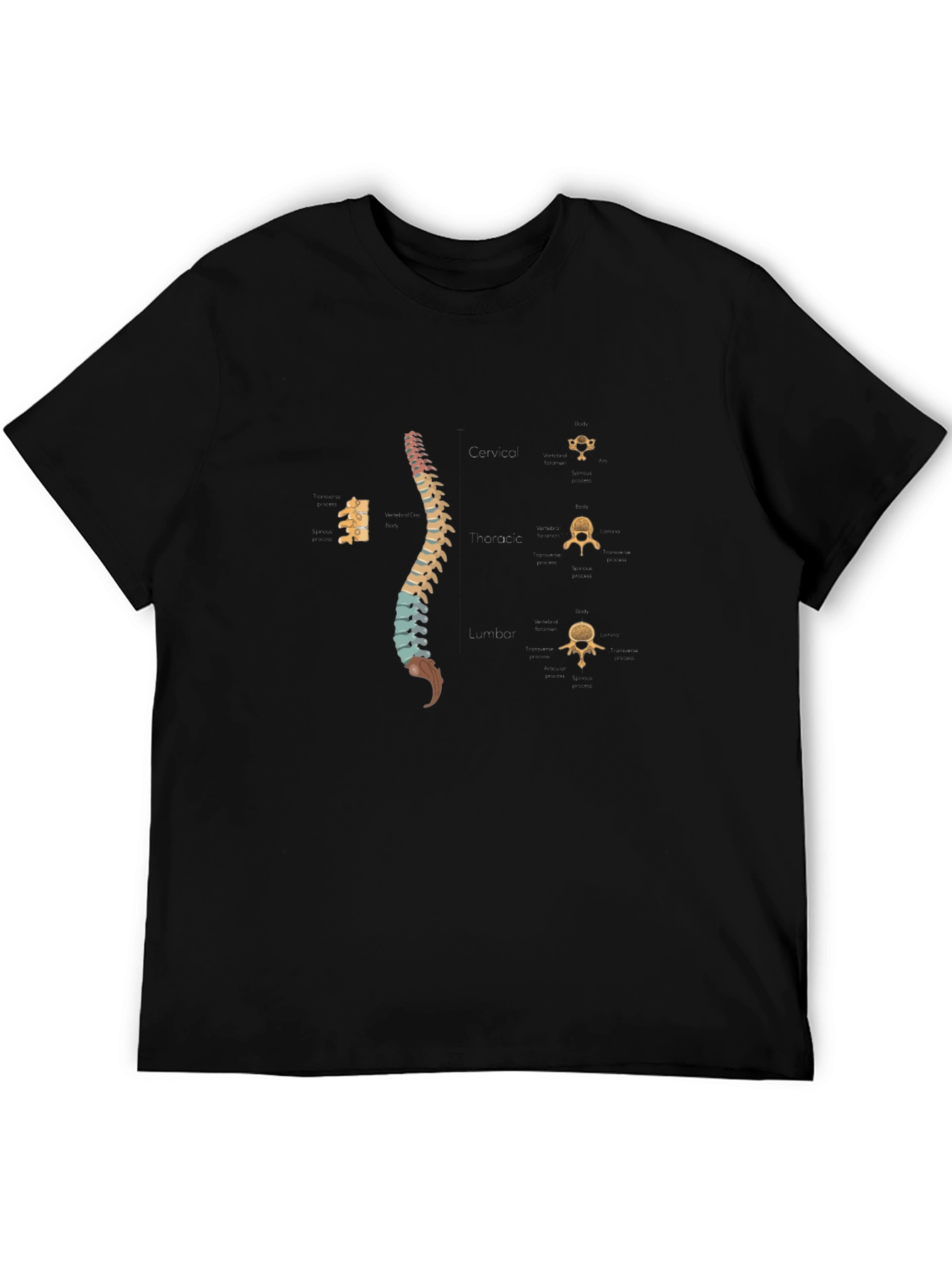 Spine Anatomy Print Black T-Shirt
