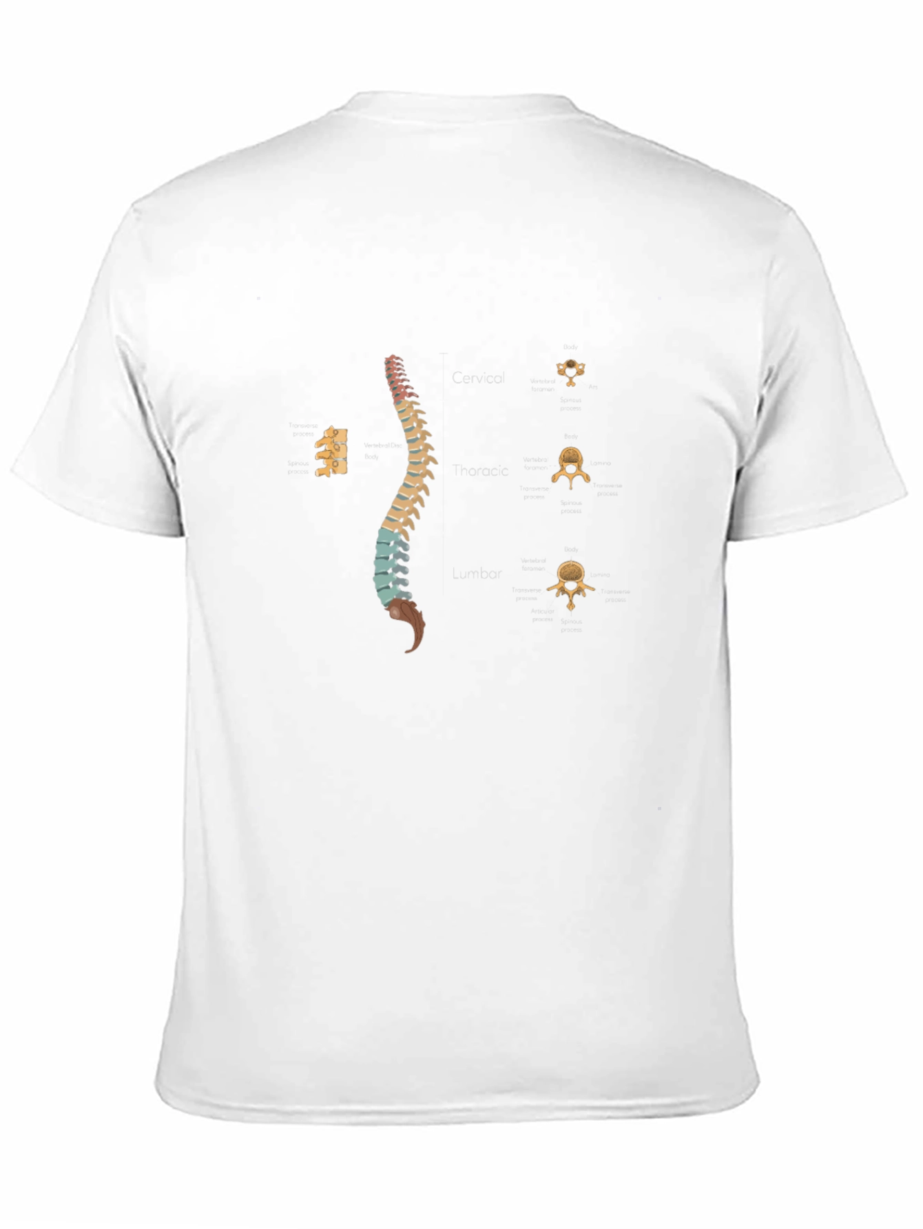 Spine Anatomy Print Black T-Shirt