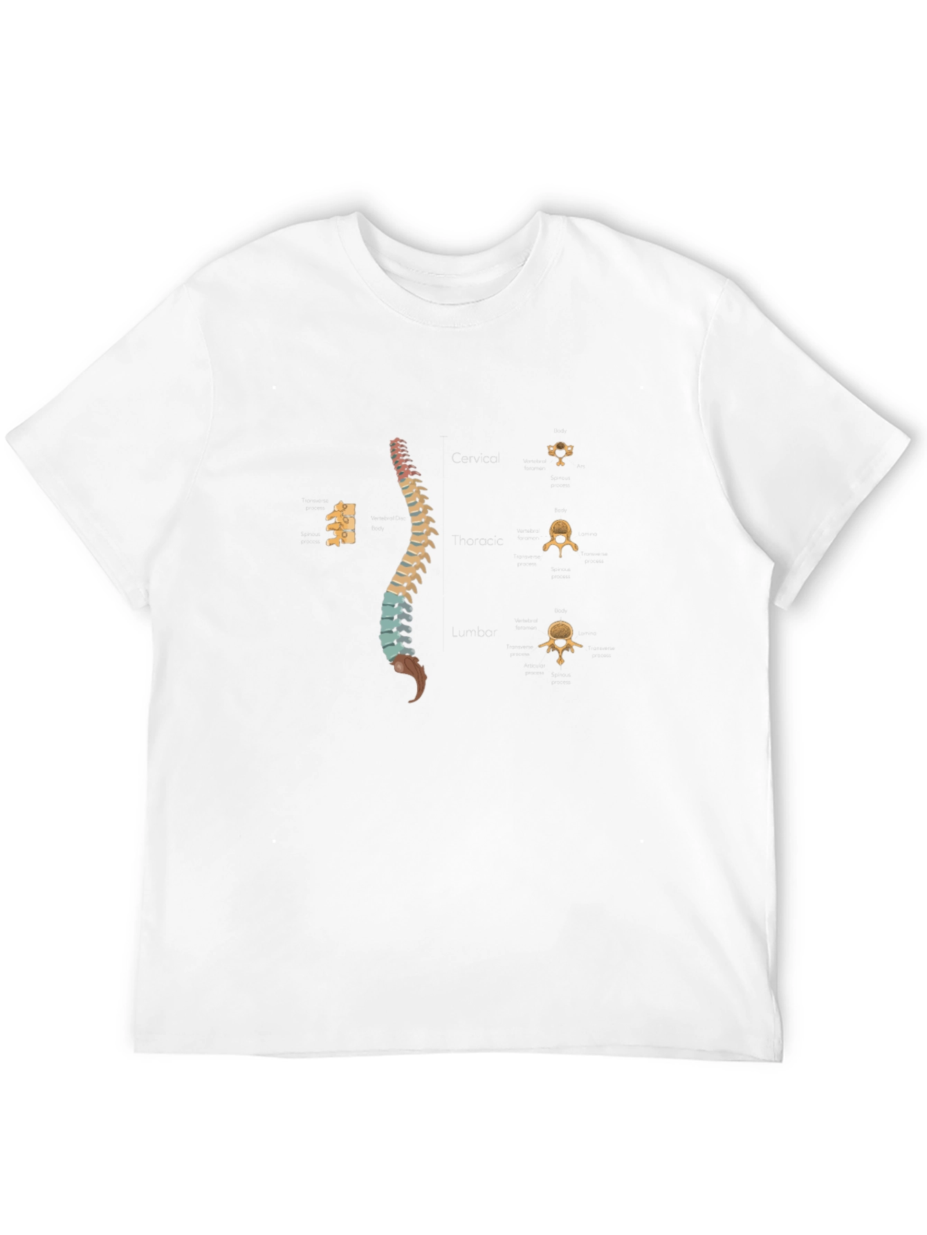 Spine Anatomy Print Black T-Shirt