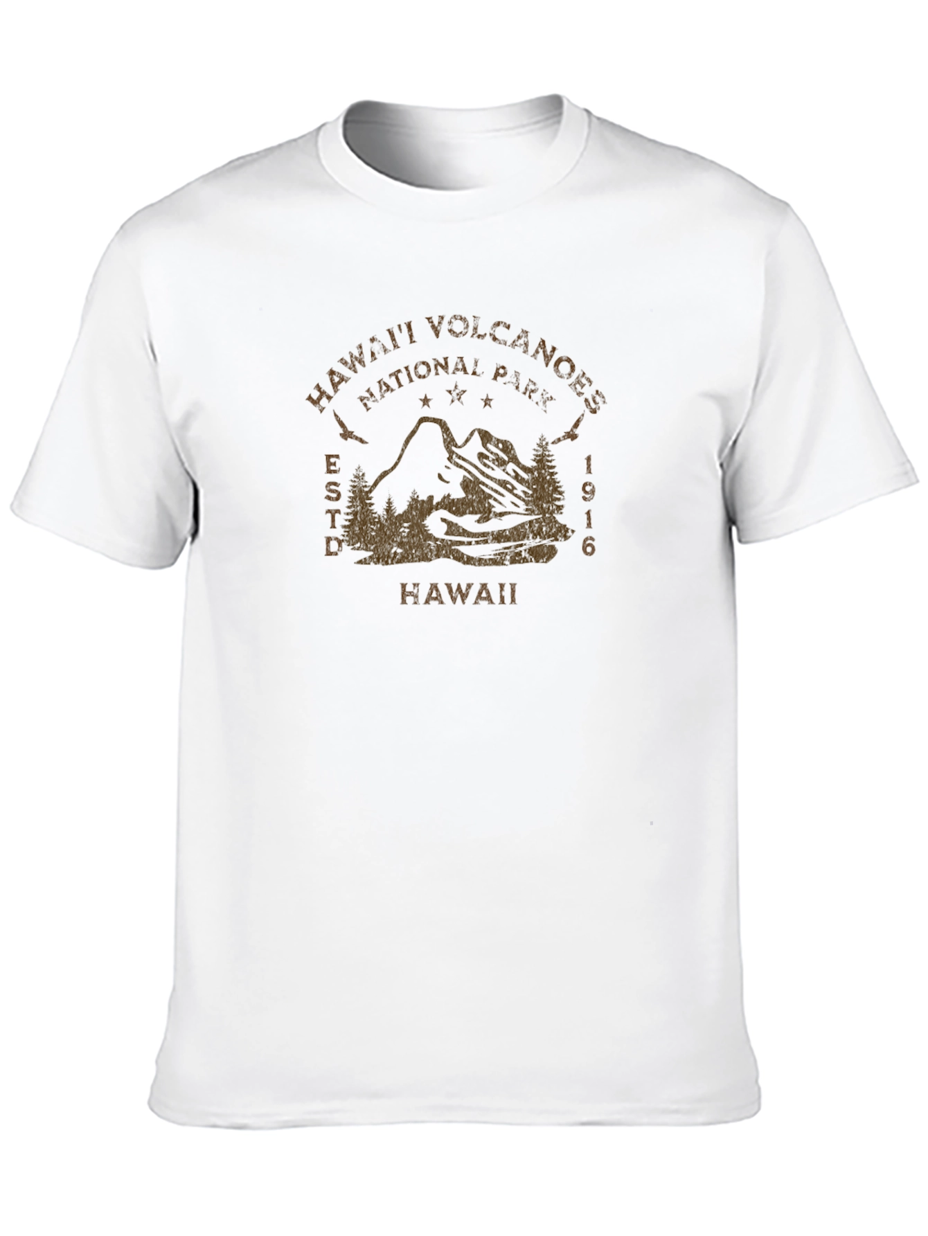 Hawaii Volcanoes National Park Black T-Shirt