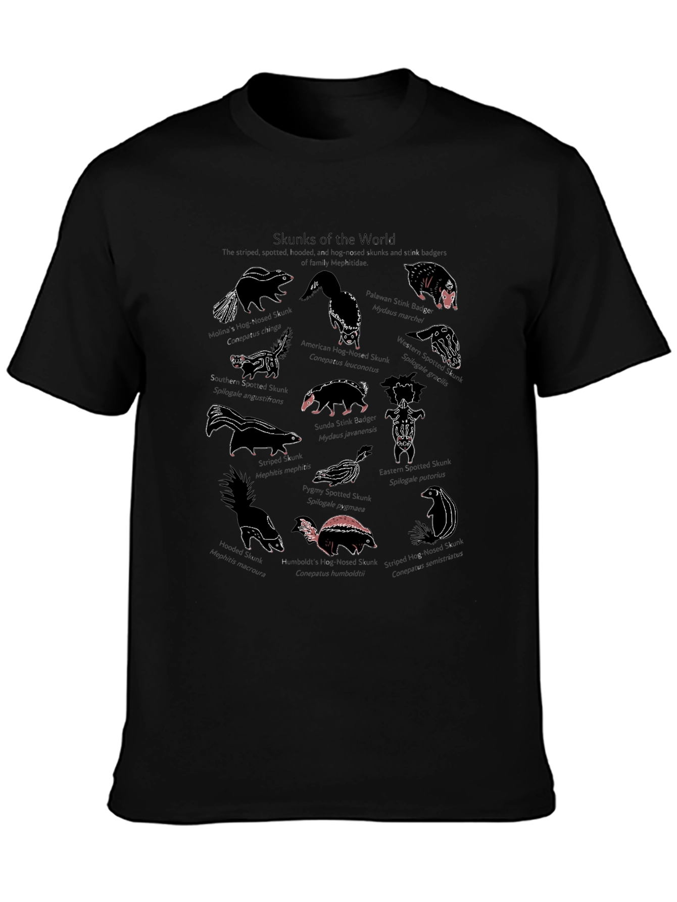 Skunks of the World Graphic T-Shirt