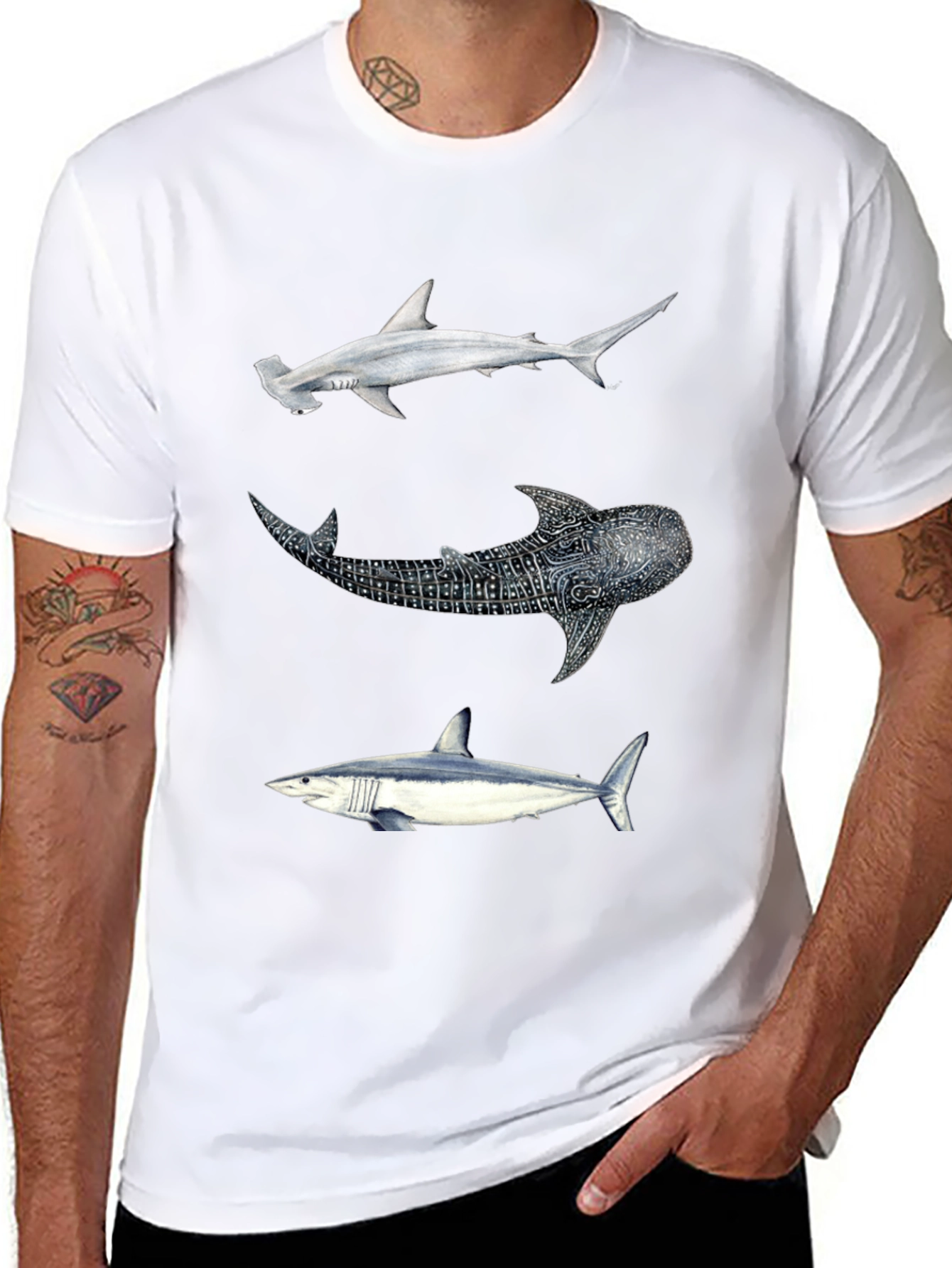 Shark Trio Graphic Tee - Black Cotton T-Shirt