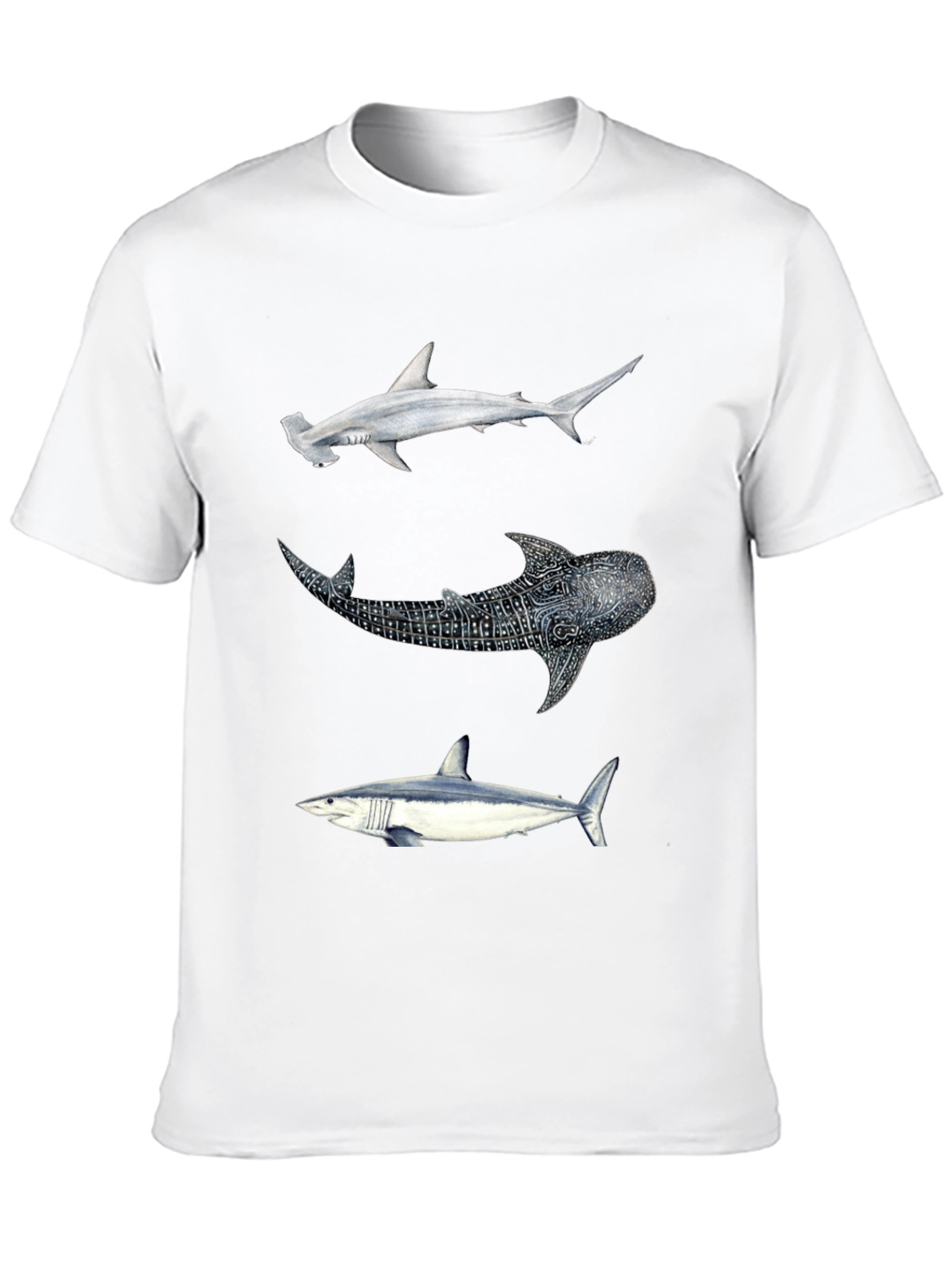 Shark Trio Graphic Tee - Black Cotton T-Shirt
