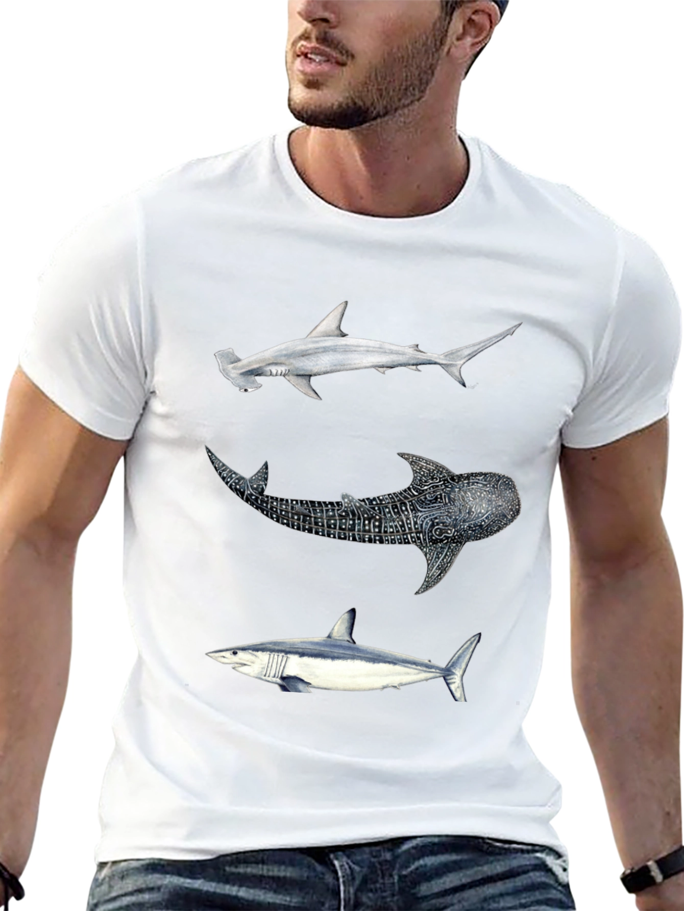 Shark Trio Graphic Tee - Black Cotton T-Shirt