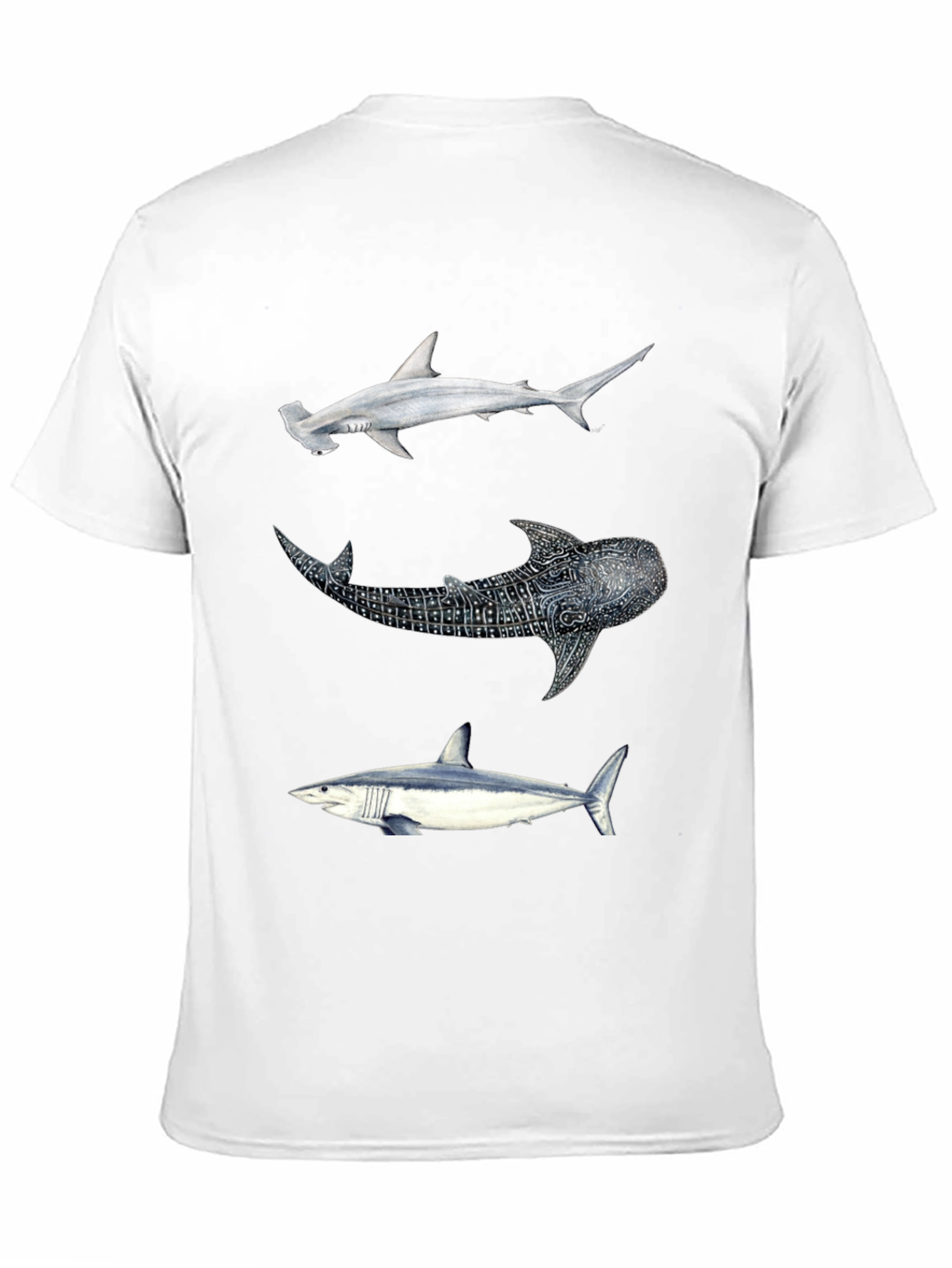 Shark Trio Graphic Tee - Black Cotton T-Shirt