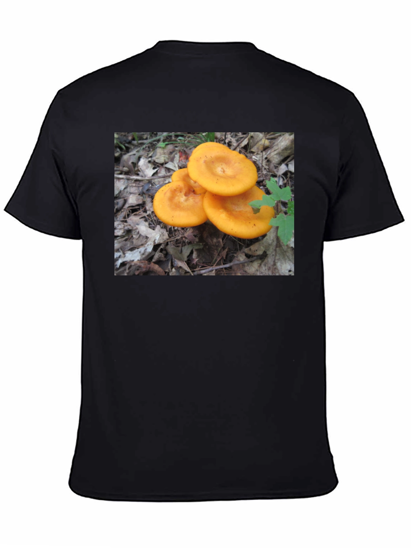 Mushroom T-Shirt - Fun Graphic Tee