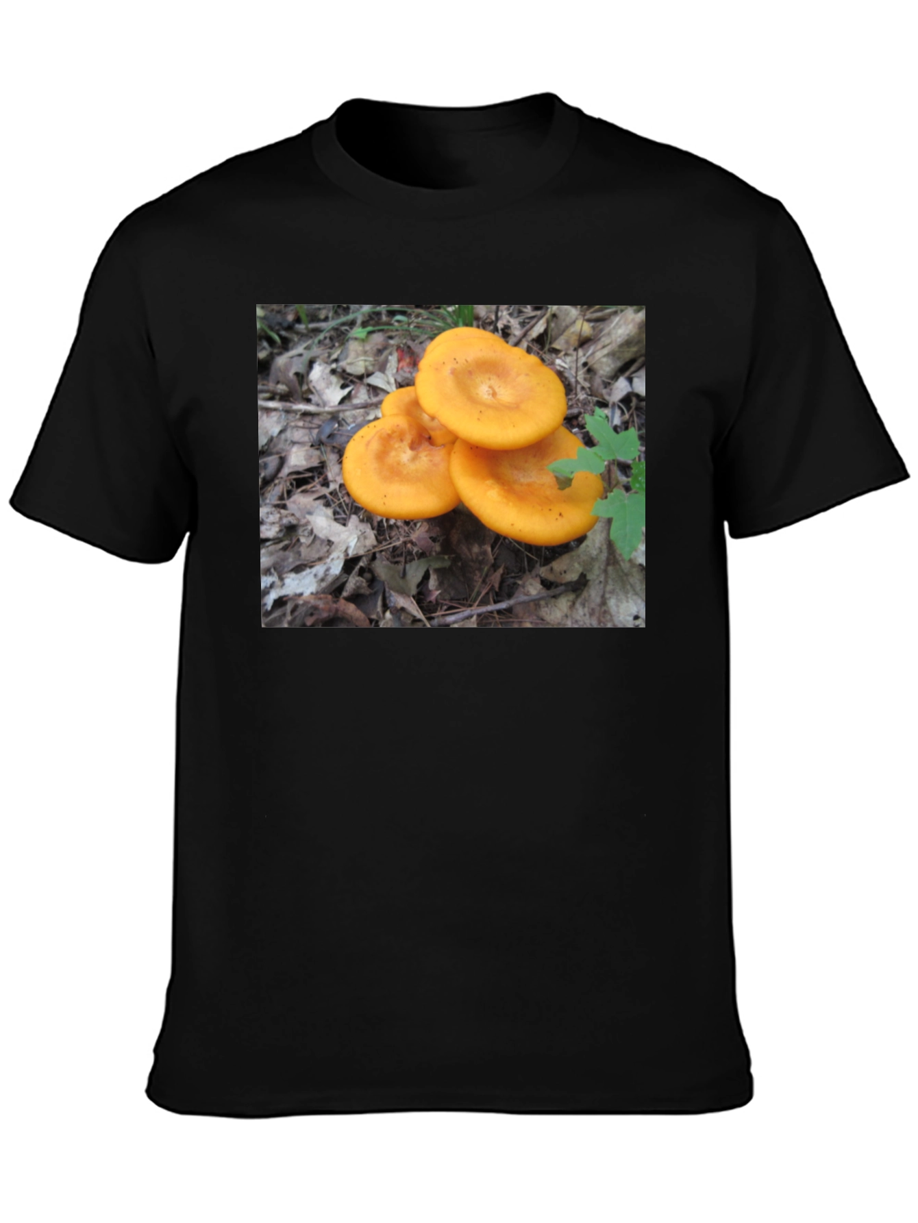 Mushroom T-Shirt - Fun Graphic Tee