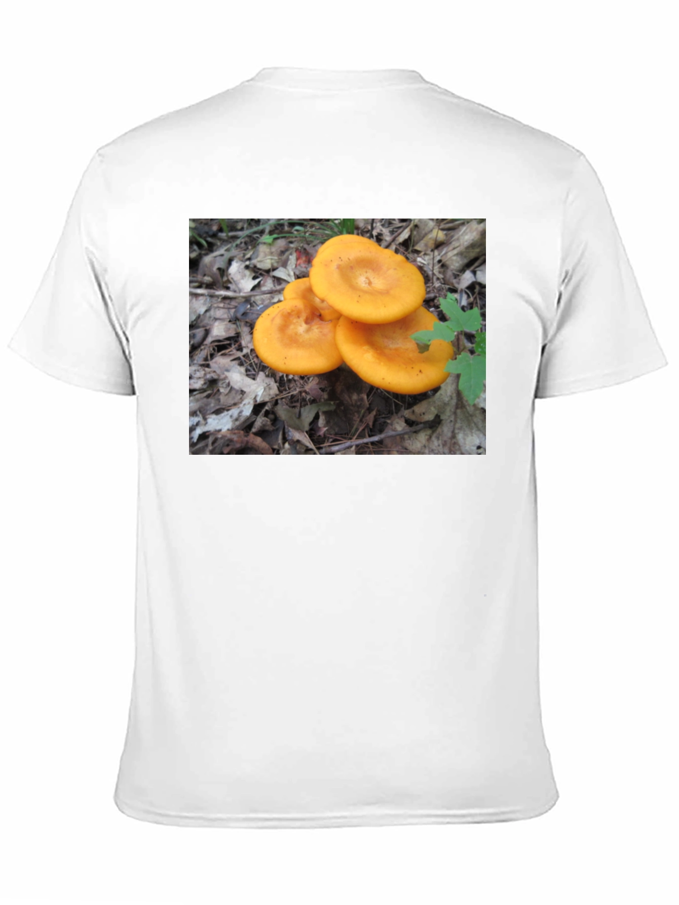 Mushroom T-Shirt - Fun Graphic Tee