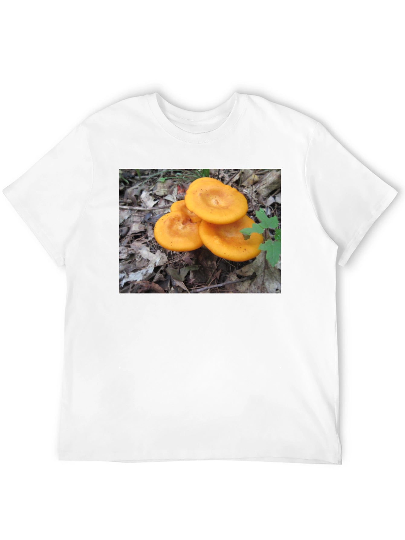 Mushroom T-Shirt - Fun Graphic Tee