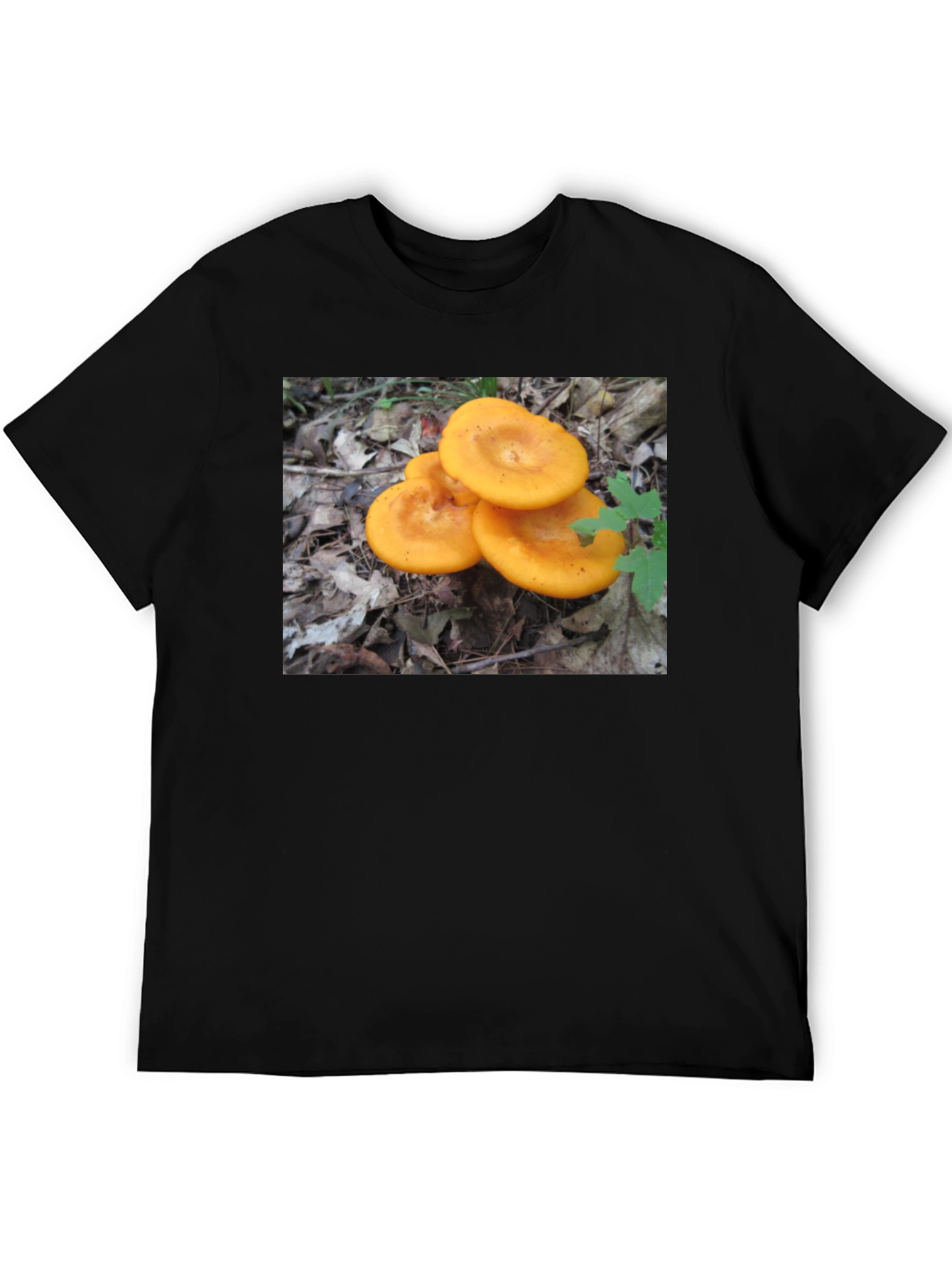 Mushroom T-Shirt - Fun Graphic Tee
