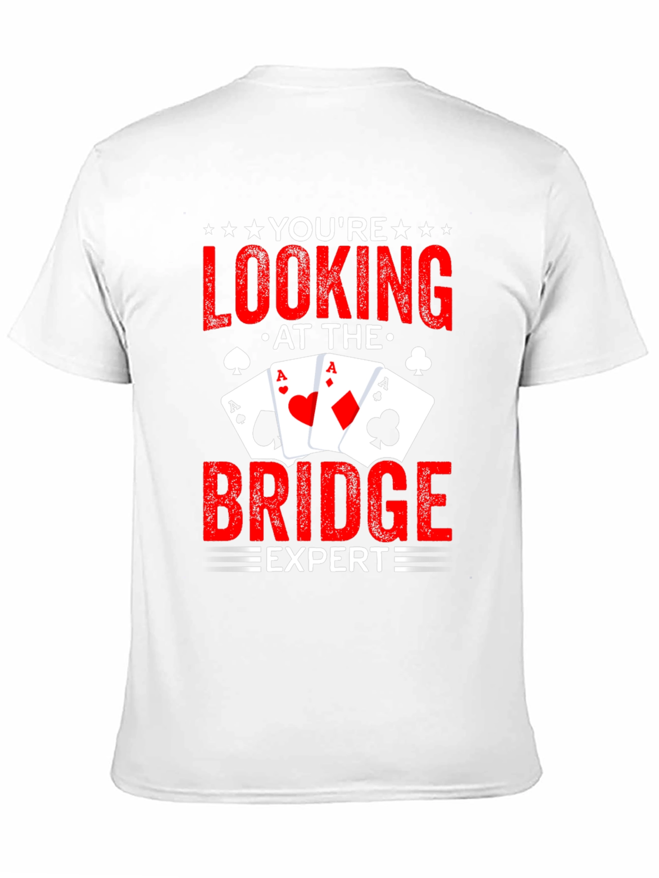 Youre Looking at the Bridge Expert T-Shirt