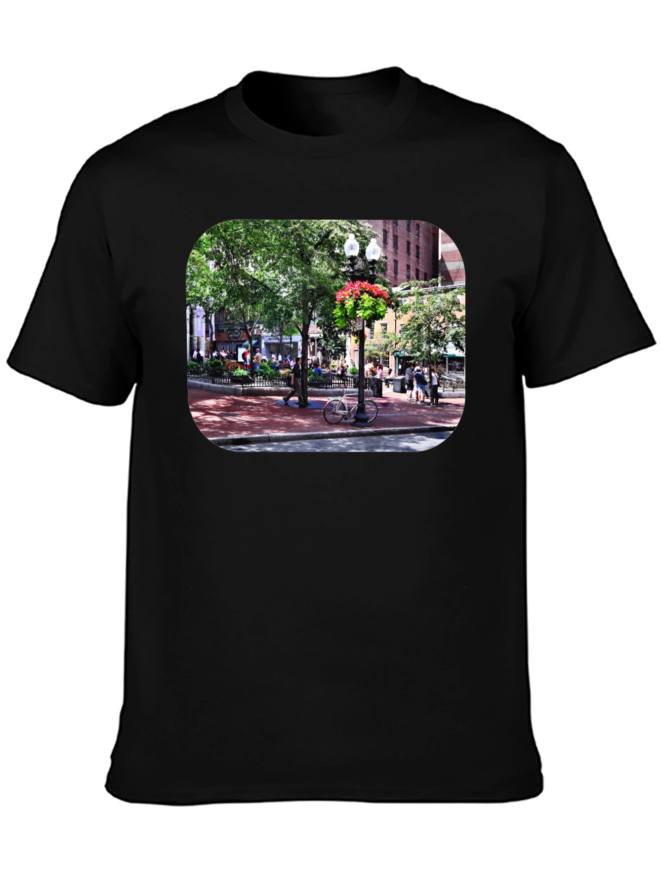 Boston Common Park Graphic Tee