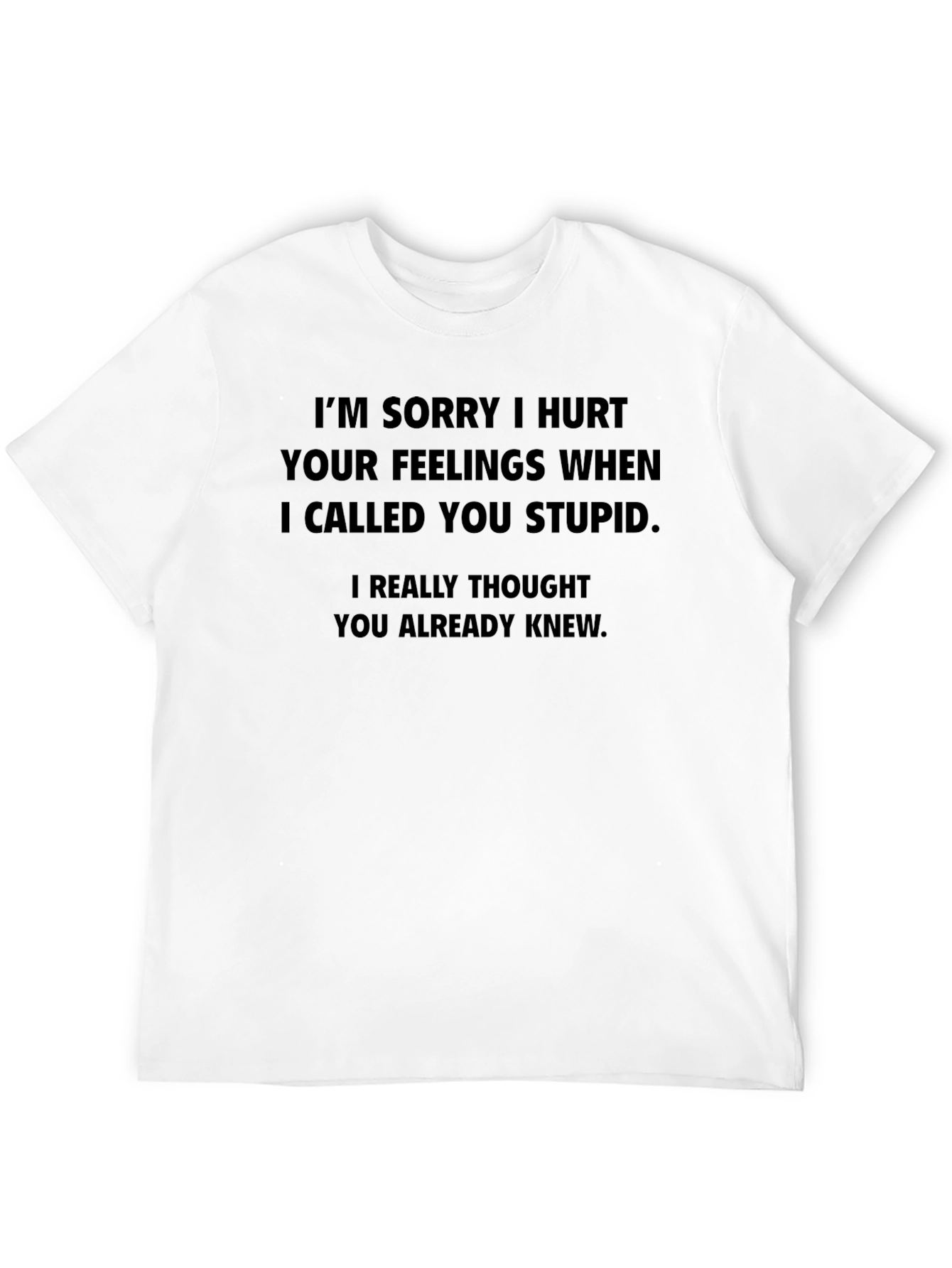 Sarcastic Apology T-Shirt - I Called You Stupid
