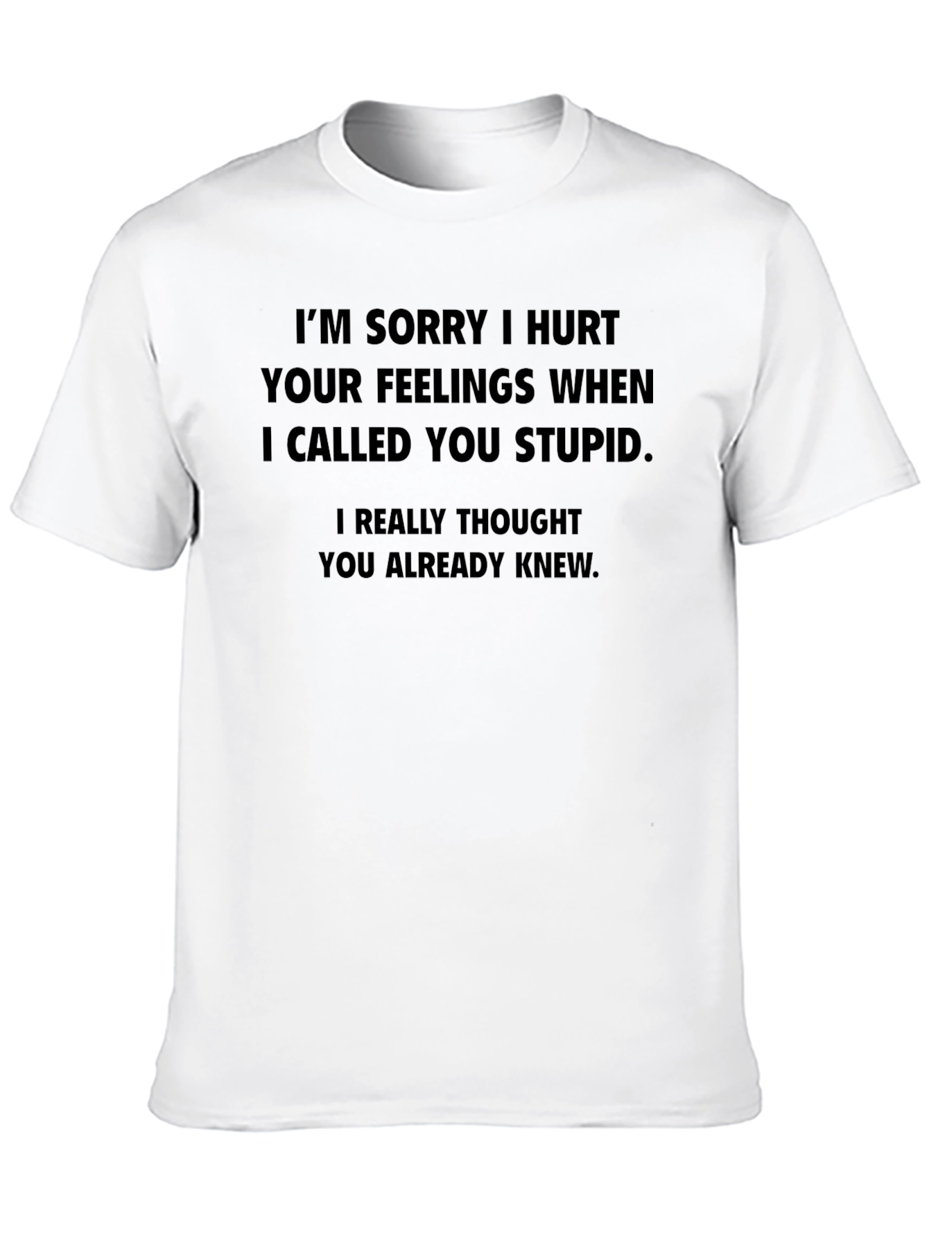 Sarcastic Apology T-Shirt - I Called You Stupid