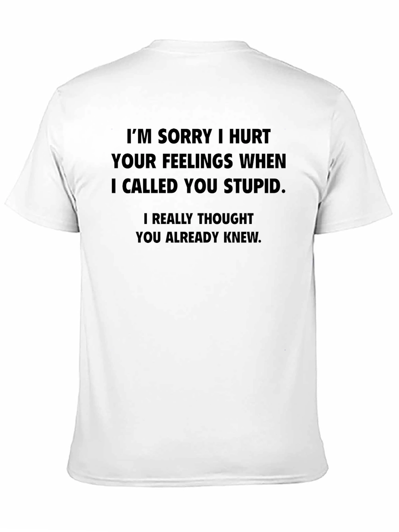 Sarcastic Apology T-Shirt - I Called You Stupid