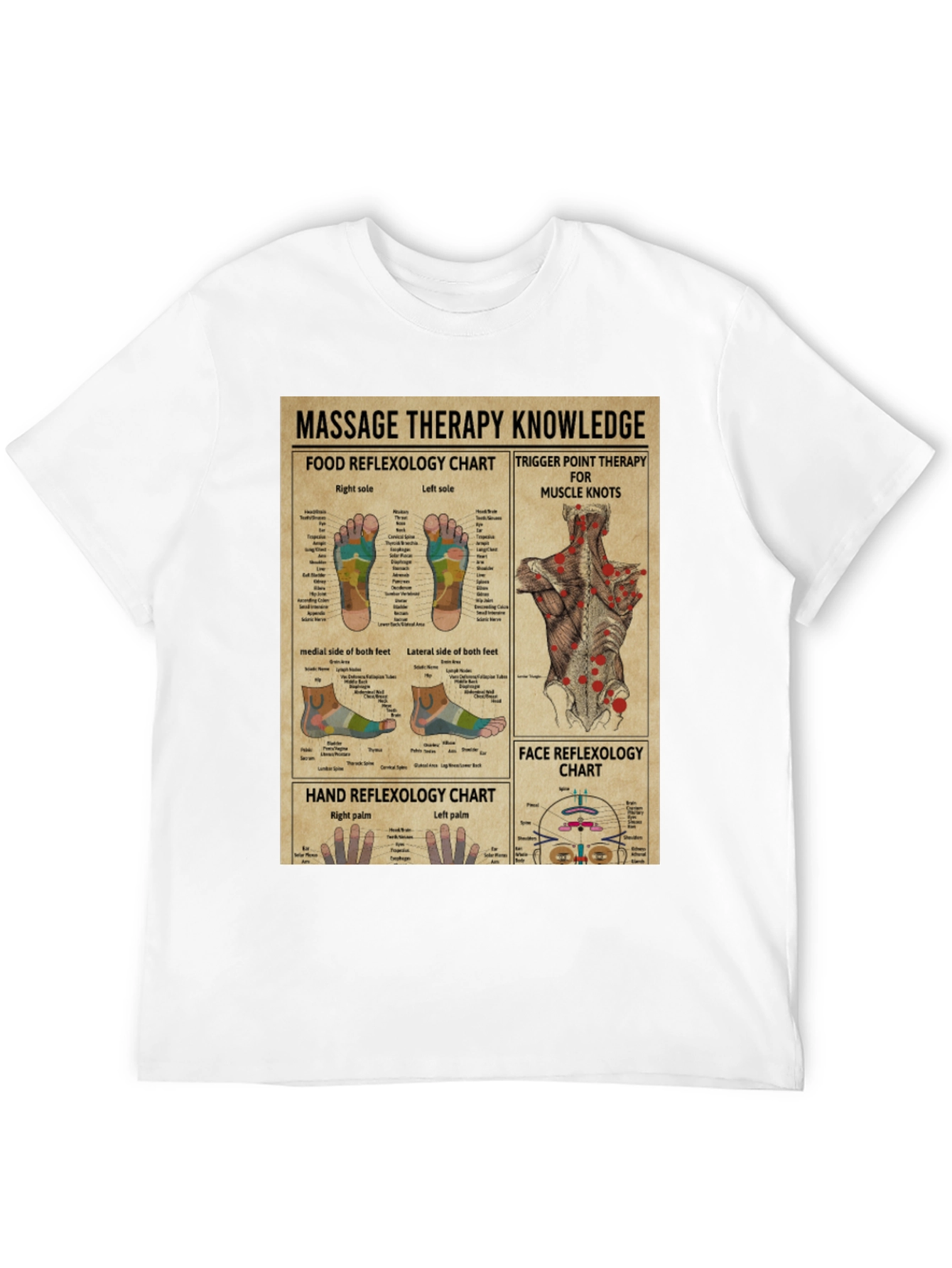 Massage Therapy Knowledge Chart Graphic T-Shirt