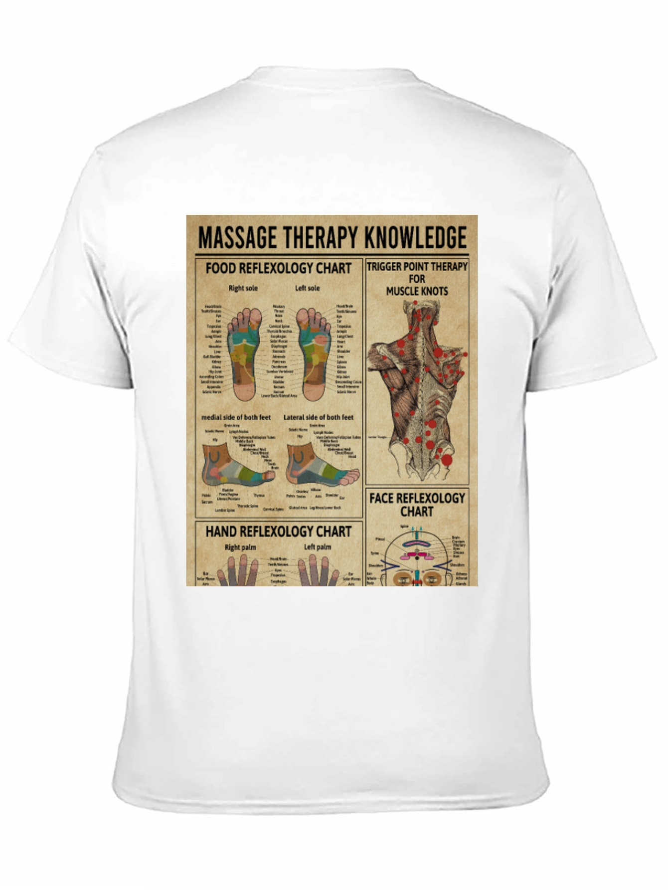 Massage Therapy Knowledge Chart Graphic T-Shirt