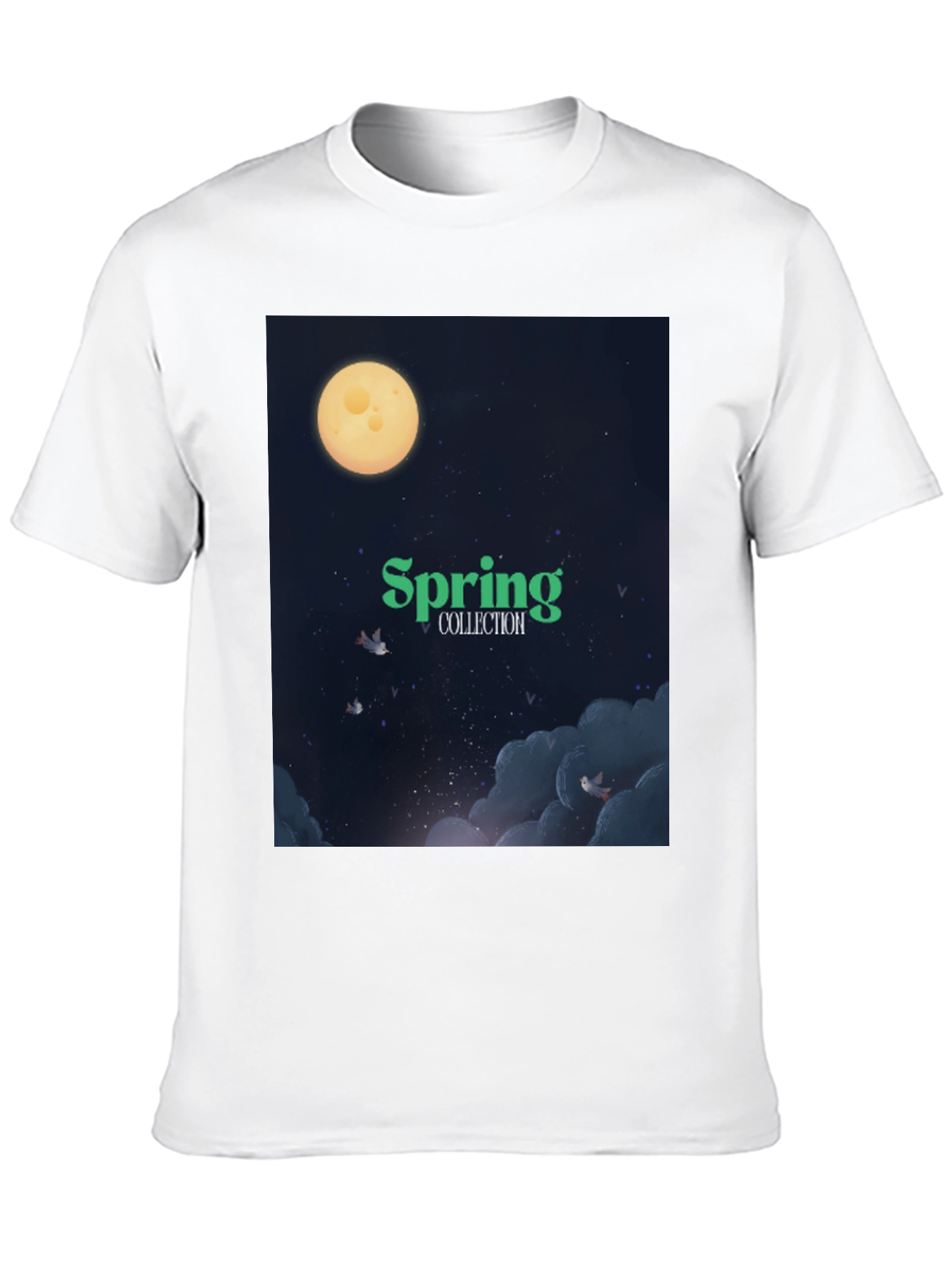 Spring Collection Graphic T-Shirt