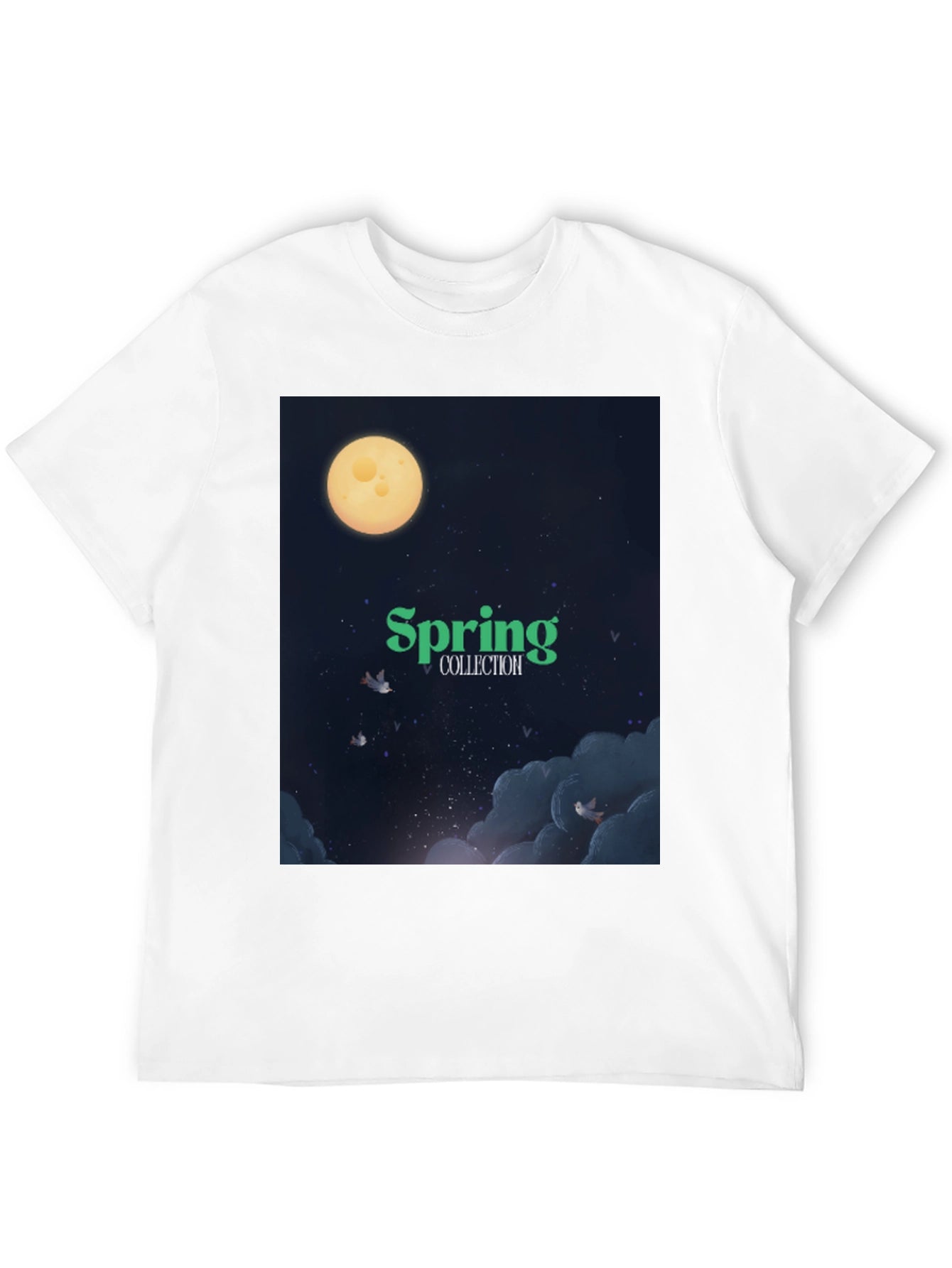 Spring Collection Graphic T-Shirt