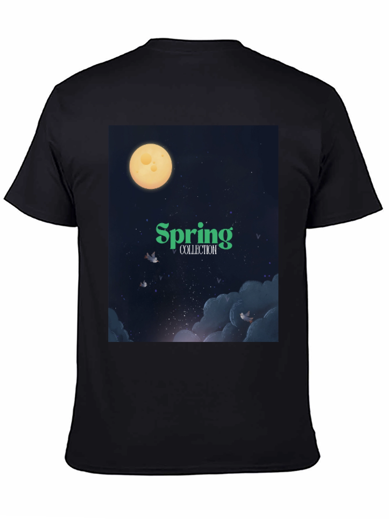 Spring Collection Graphic T-Shirt