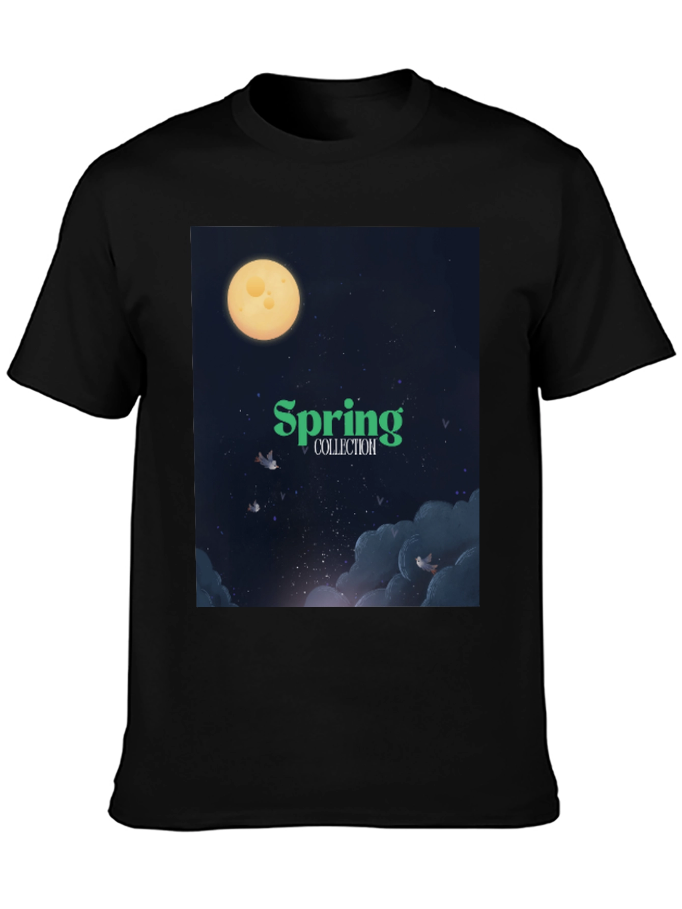 Spring Collection Graphic T-Shirt