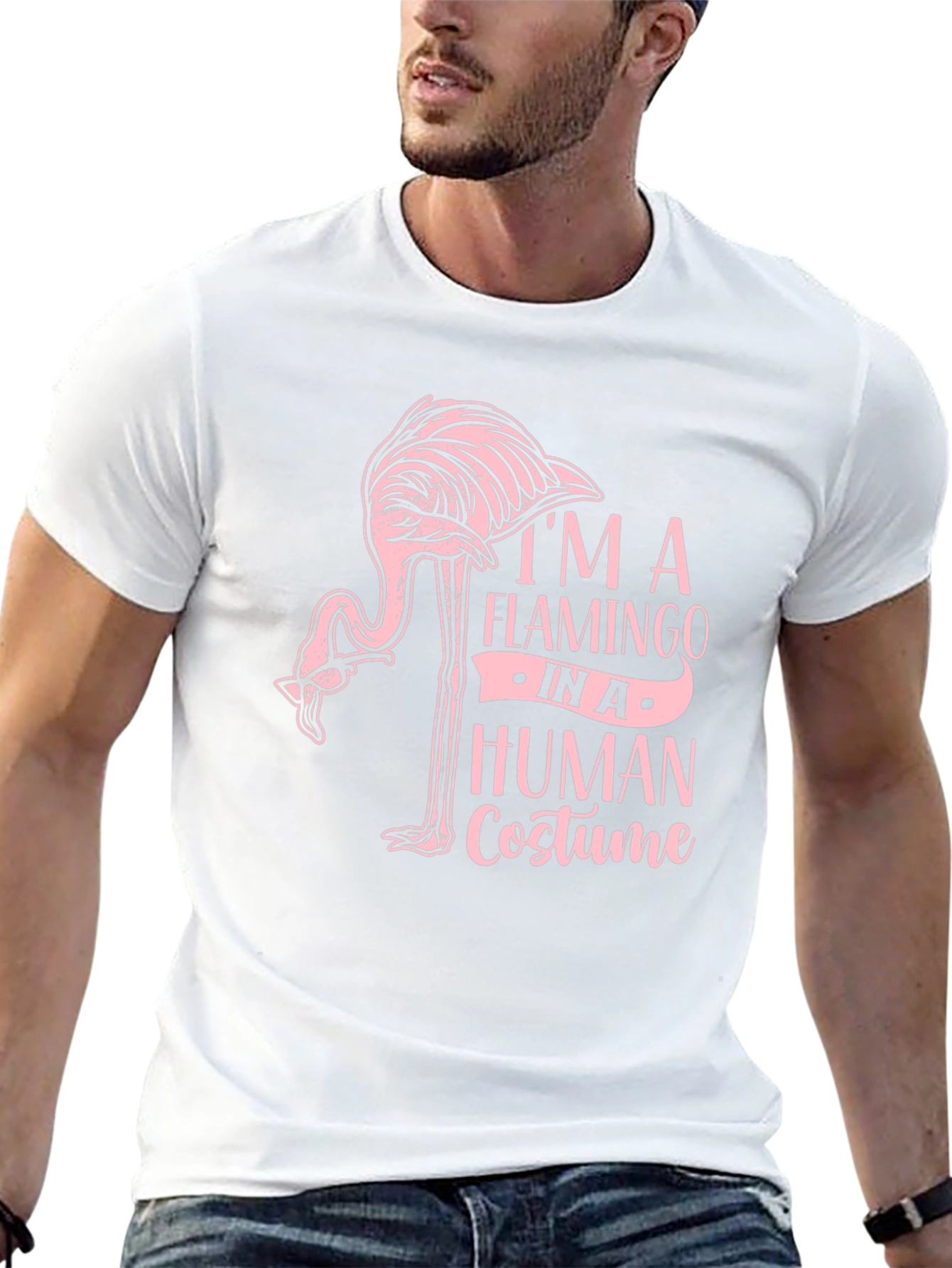 Im a Flamingo in a Human Costume T-Shirt