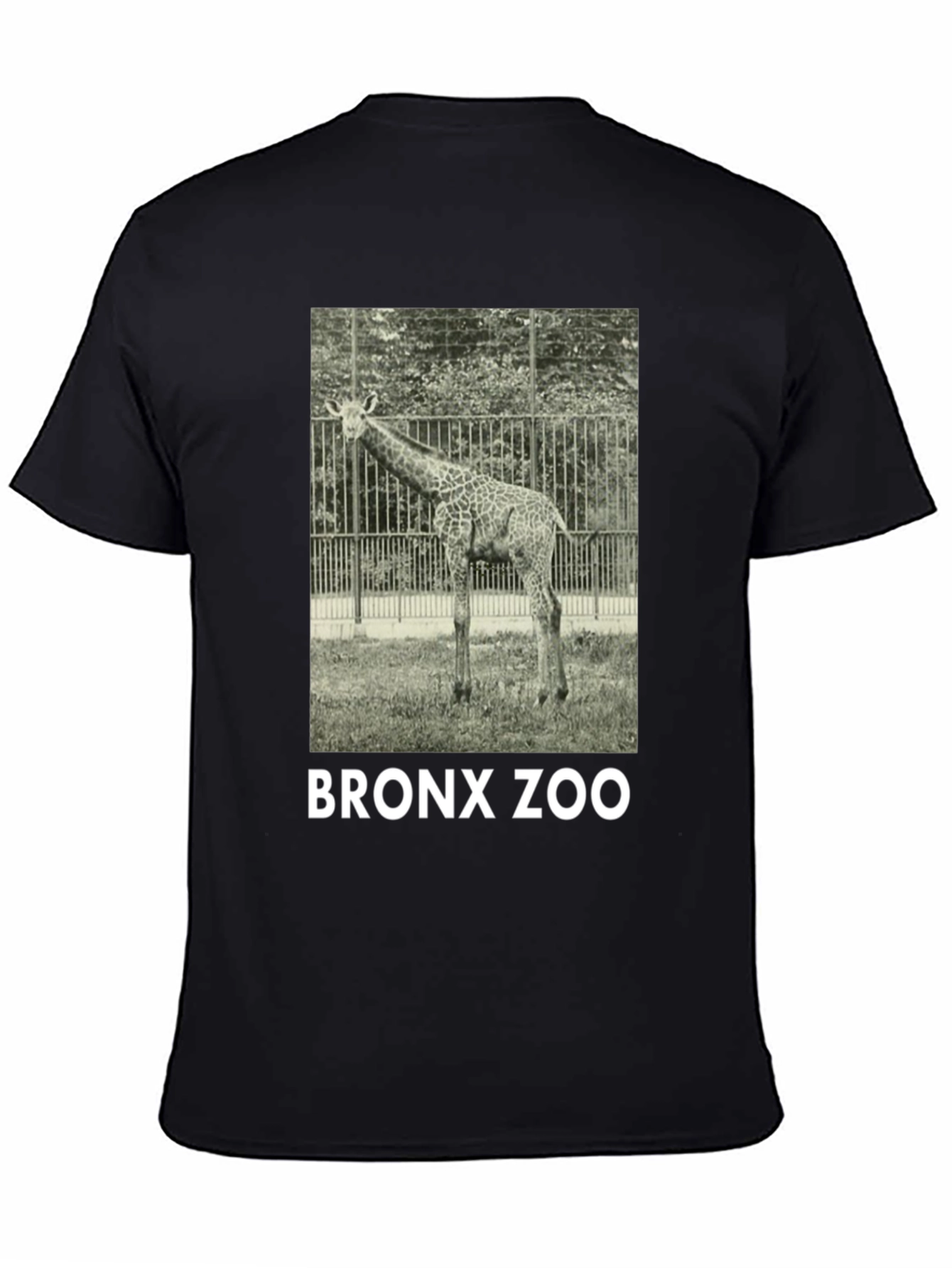 Bronx Zoo Giraffe Graphic Tee - Black