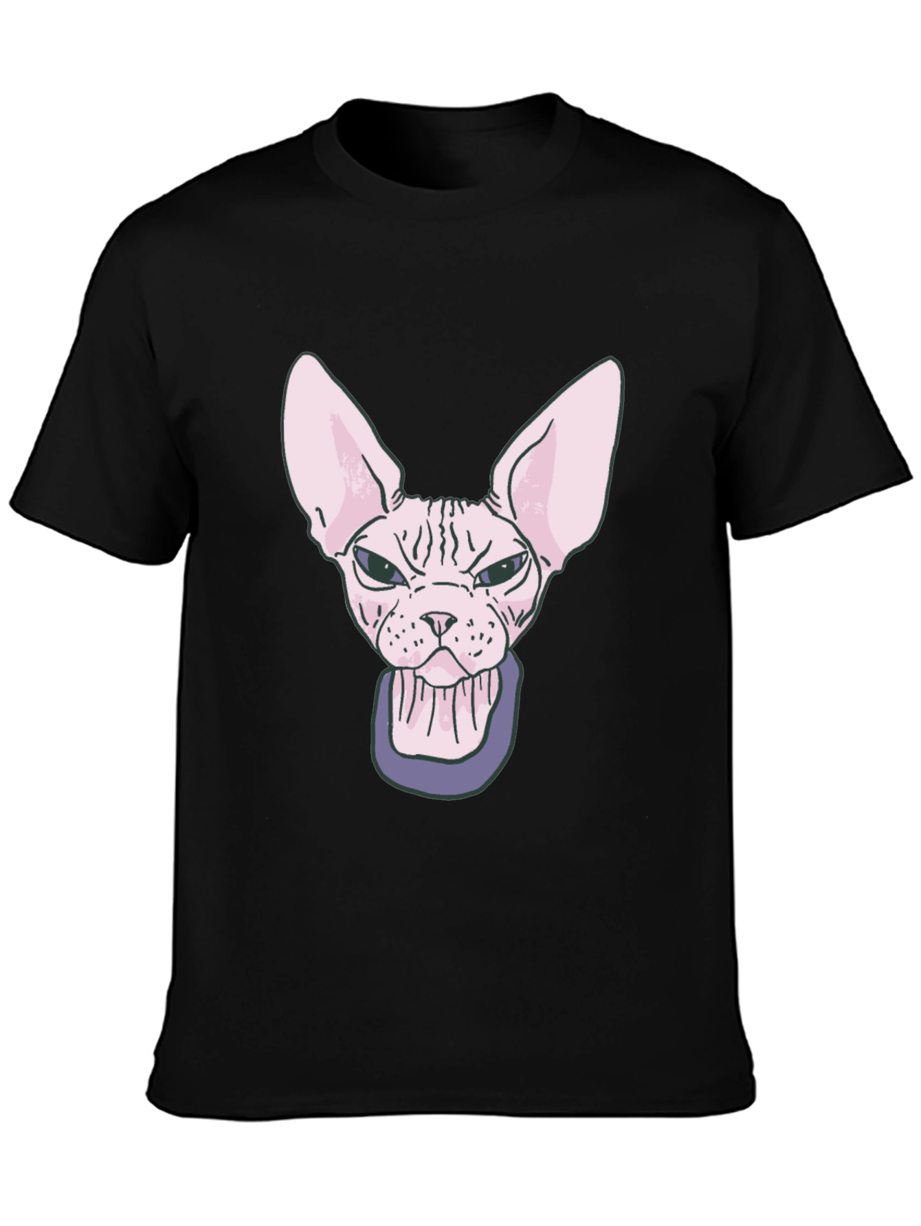 Sphynx Cat T-Shirt - Funny Hairless Cat Graphic Tee