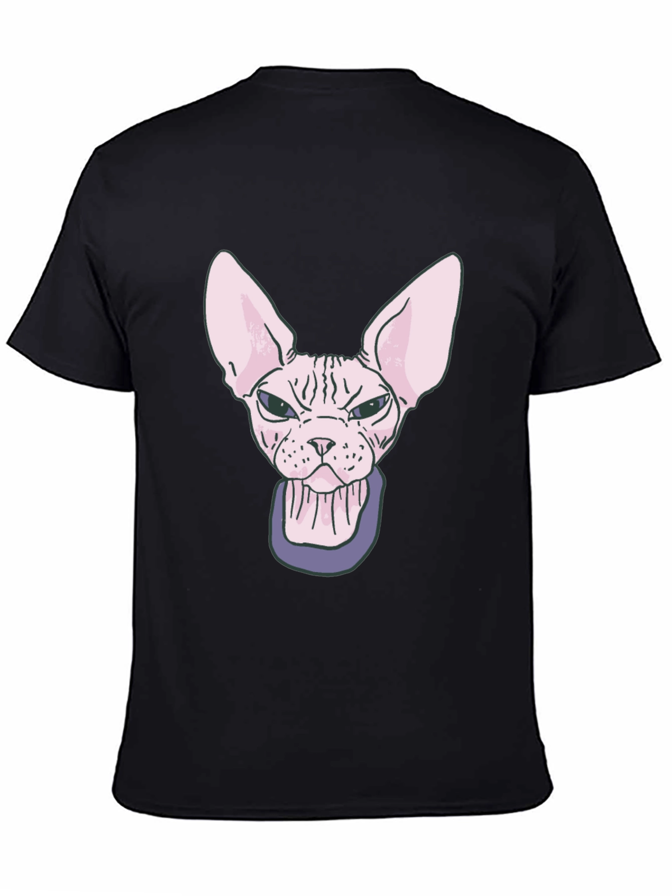 Sphynx Cat T-Shirt - Funny Hairless Cat Graphic Tee