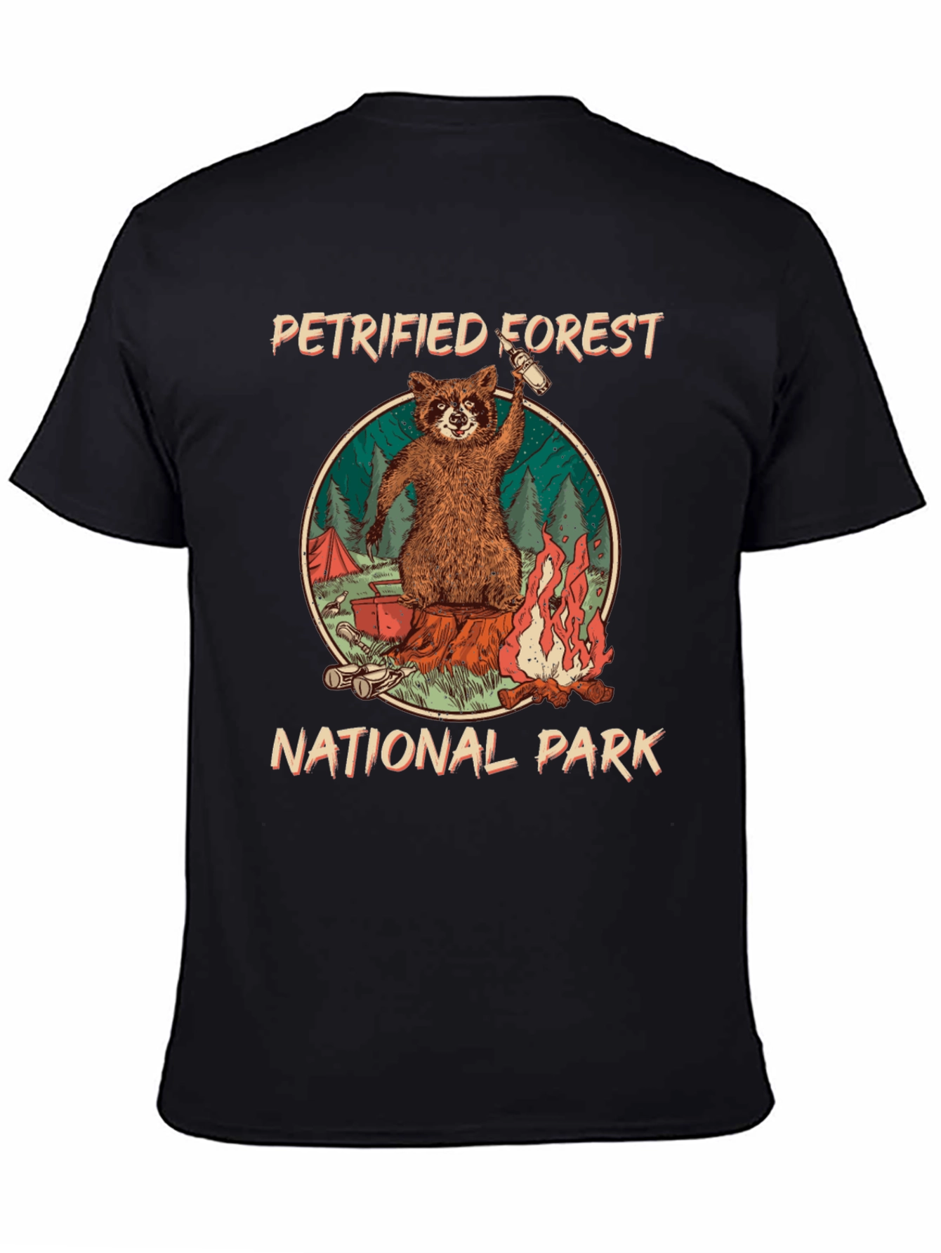 Petrified Forest National Park Raccoon Graphic T-Shirt