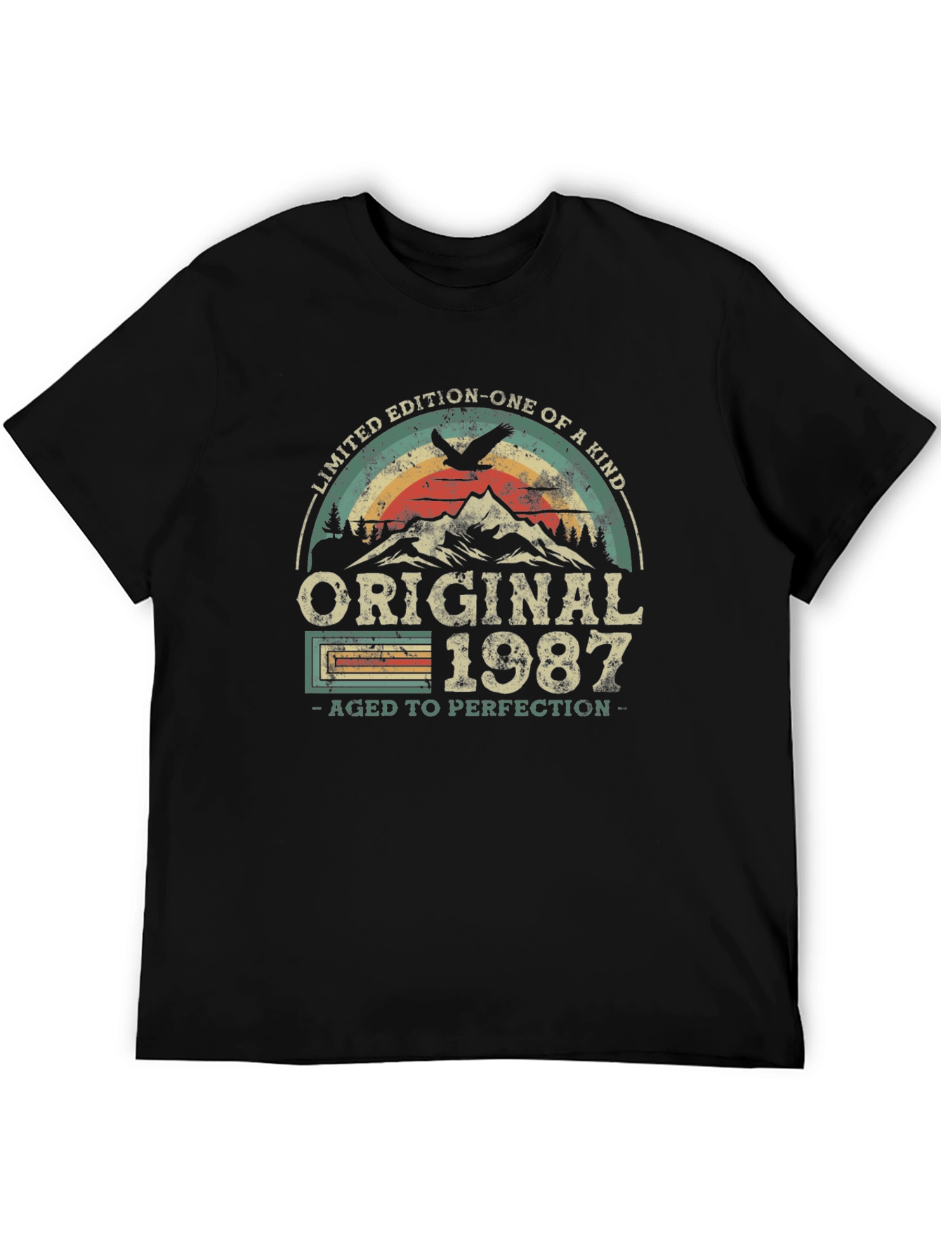 Original 1987 Aged to Perfection T-Shirt