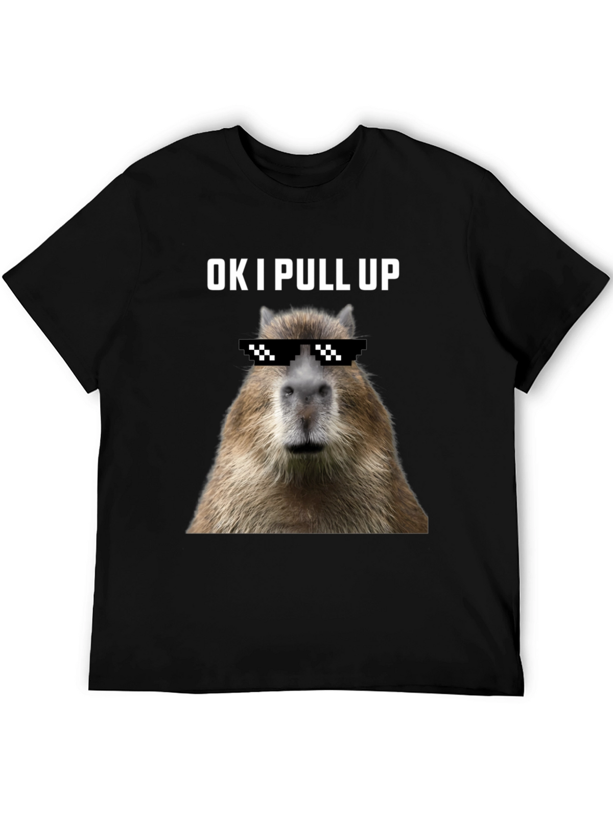 Ok I Pull Up Capybara Graphic Tee