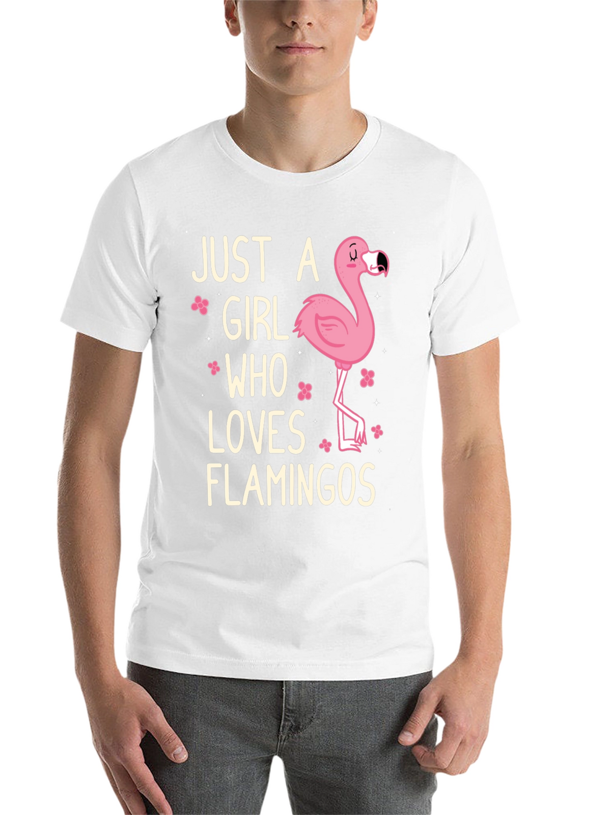 Just A Girl Who Loves Flamingos T-Shirt